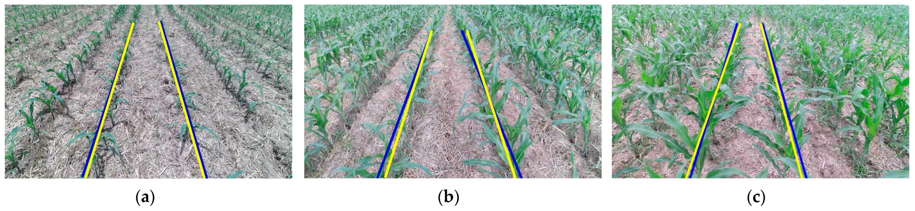 Agriculture 14 00969 g015