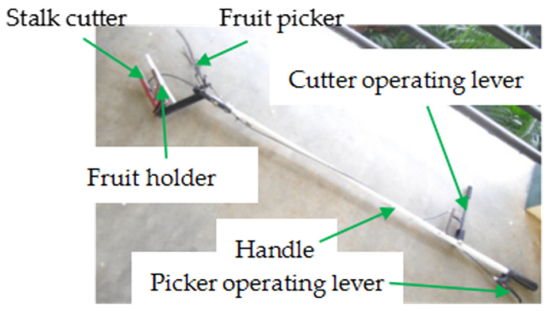 Agriculture 14 00975 g003