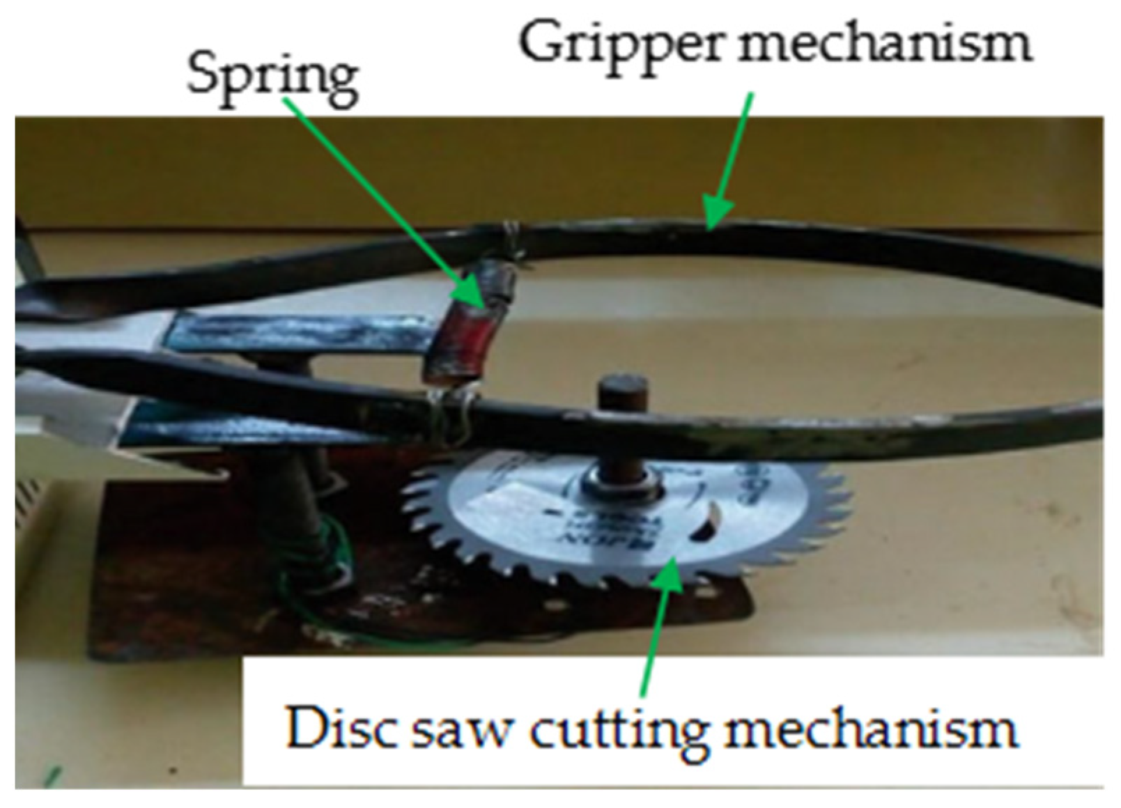Agriculture 14 00975 g004