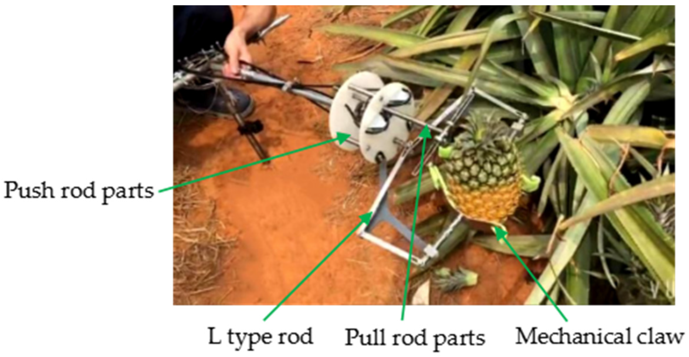 Agriculture 14 00975 g005