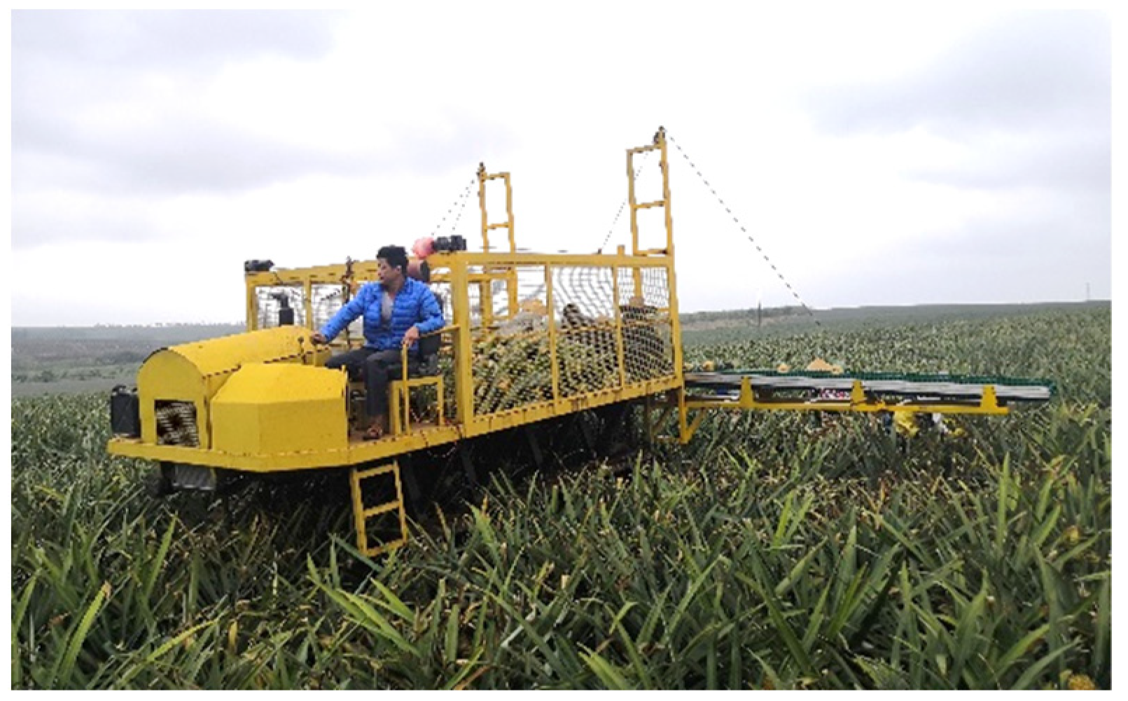 Agriculture 14 00975 g007