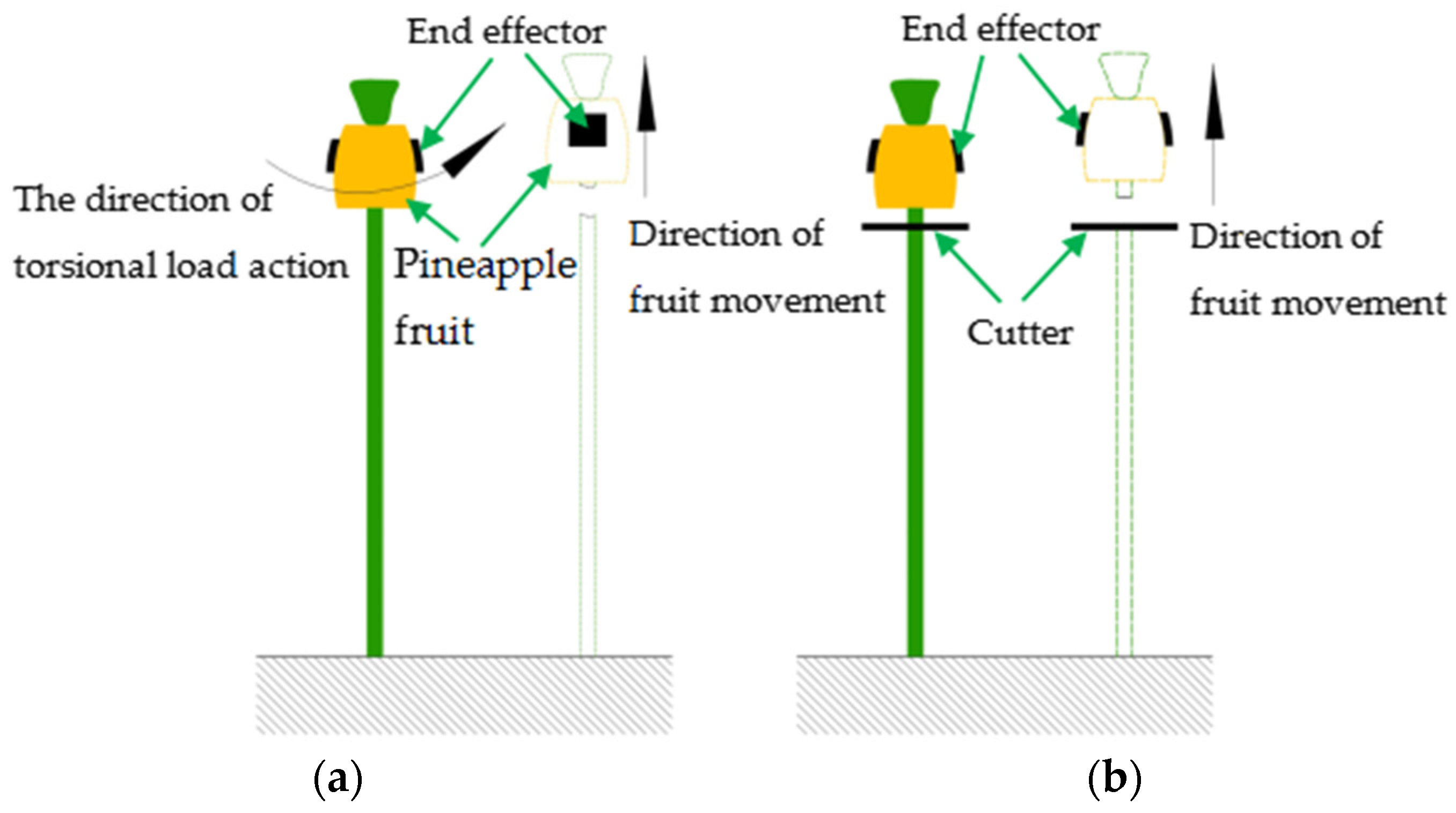 Agriculture 14 00975 g010