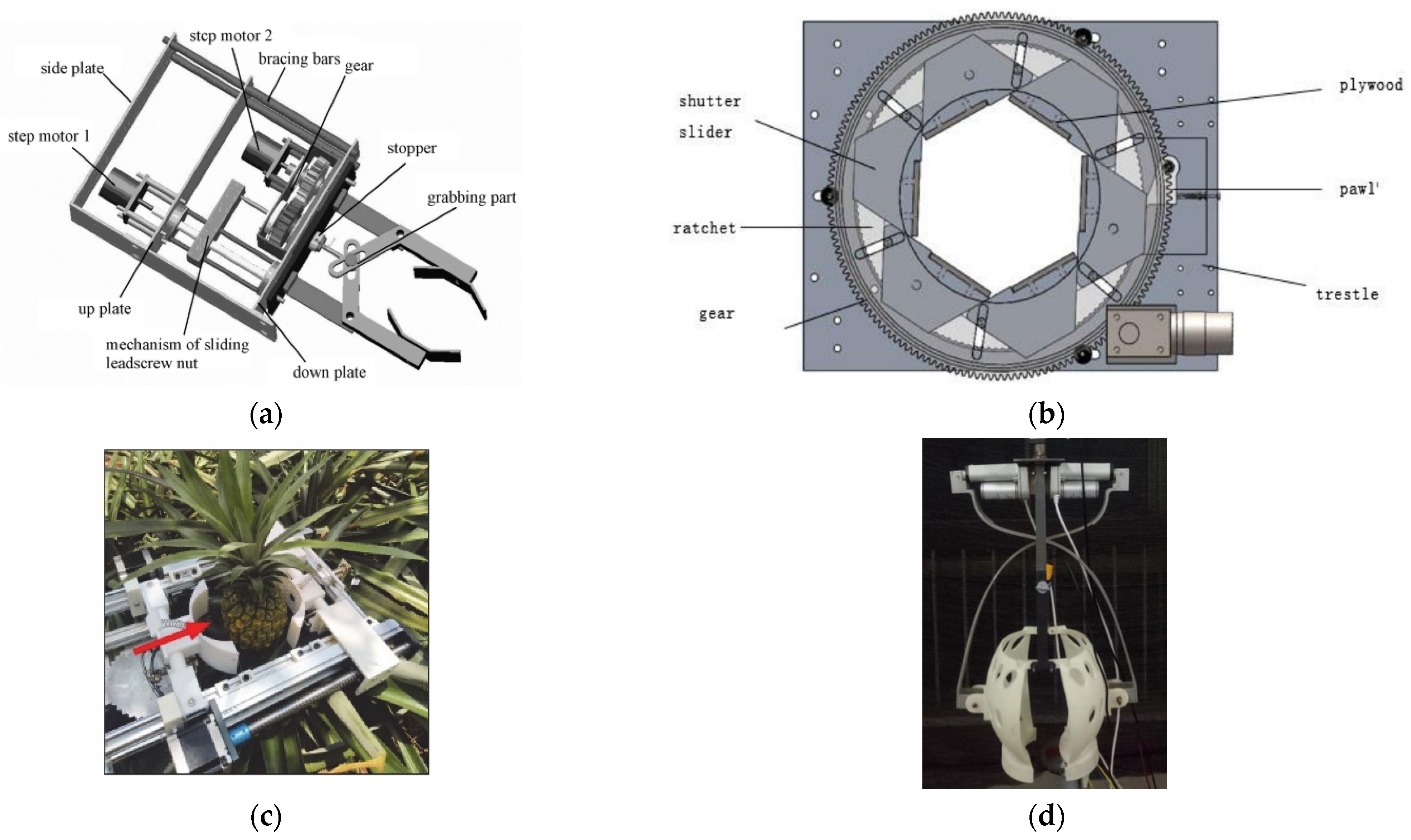 Agriculture 14 00975 g011