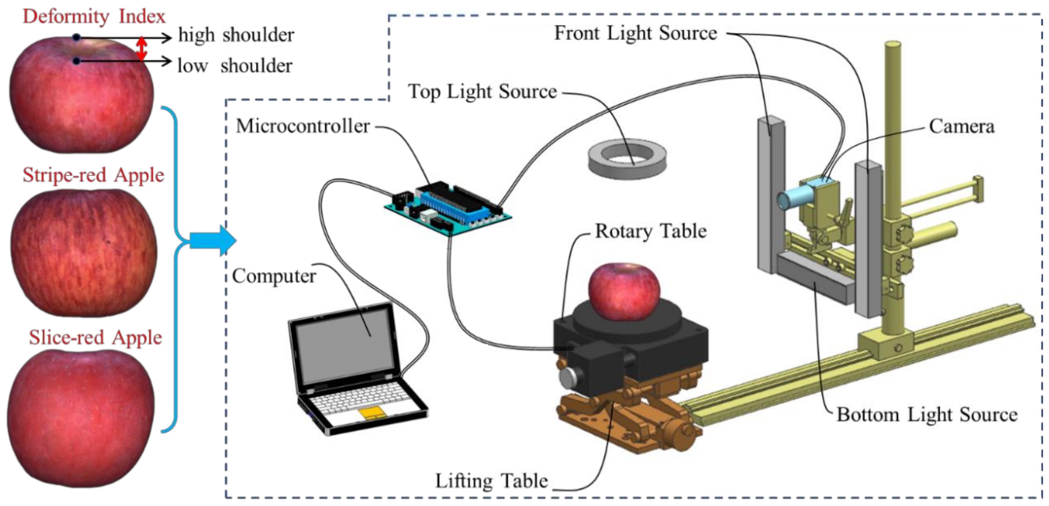Agriculture 14 00978 g001