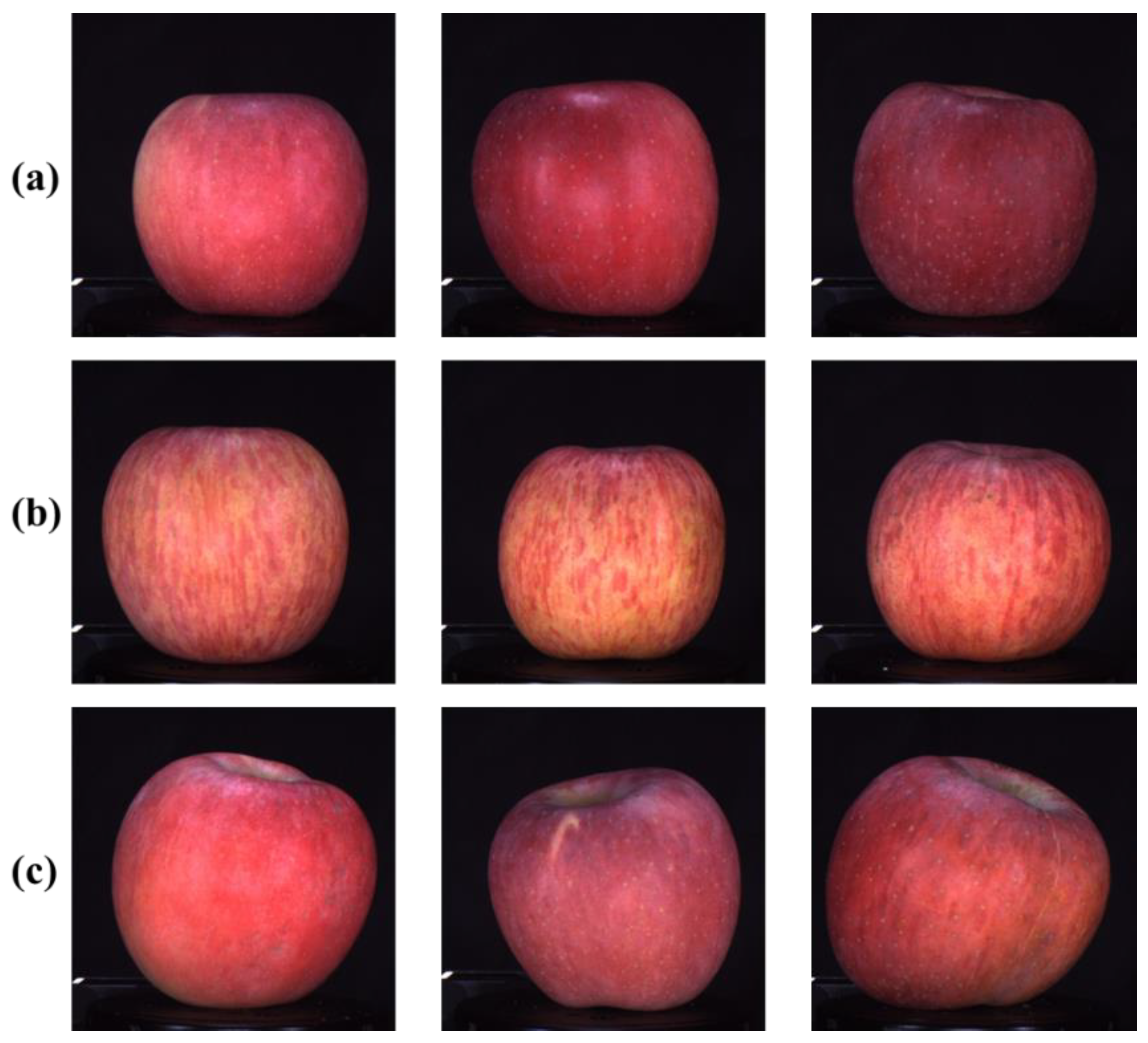 Agriculture 14 00978 g006