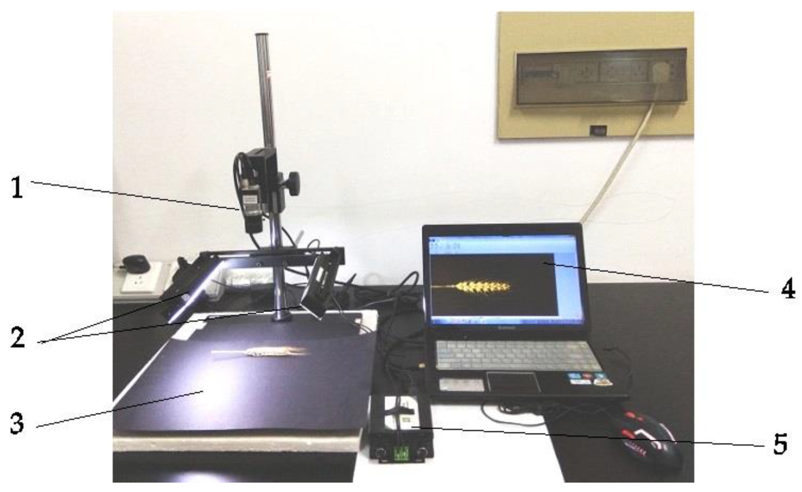 Agriculture 14 00982 g001