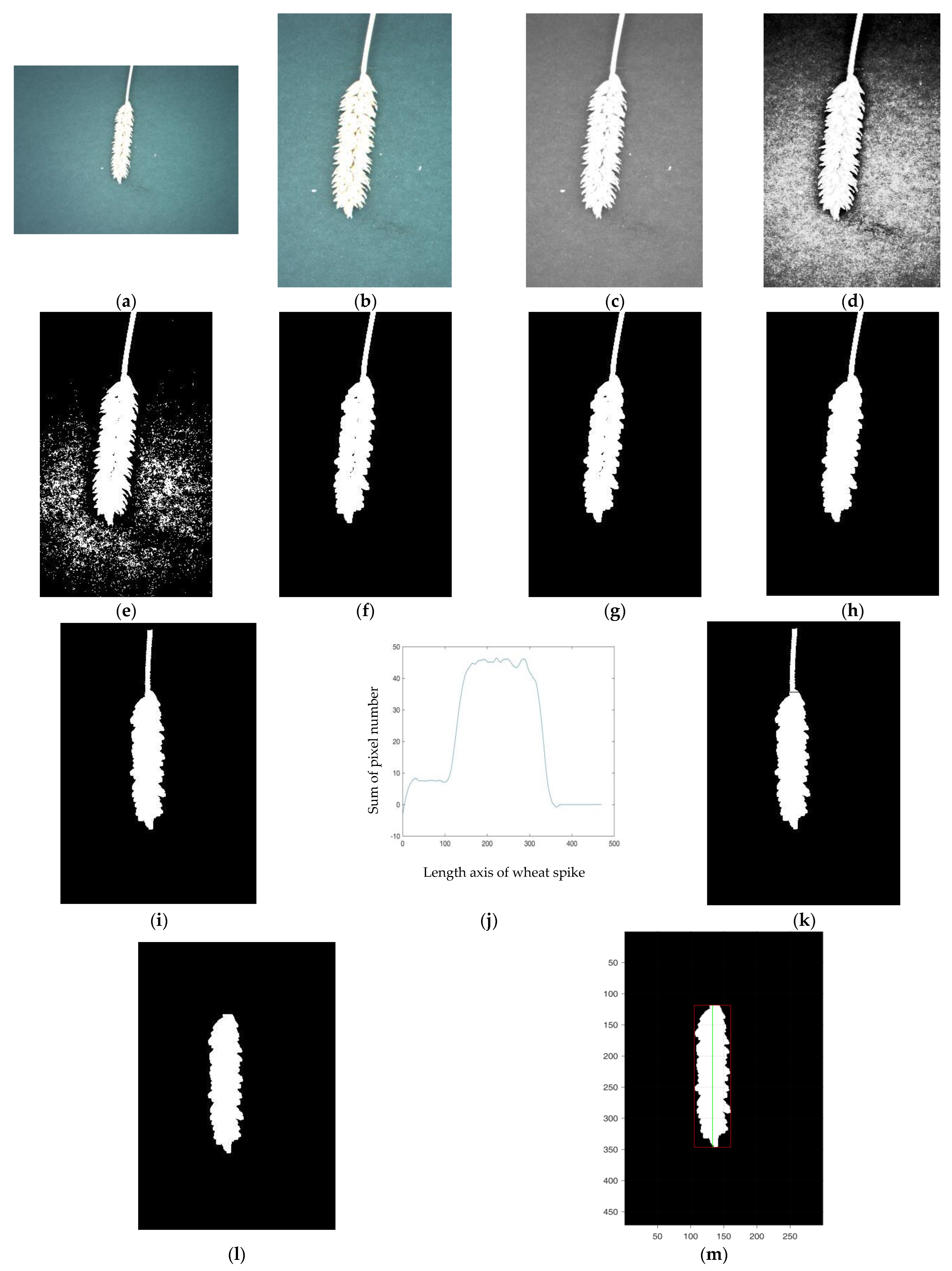 Agriculture 14 00982 g002