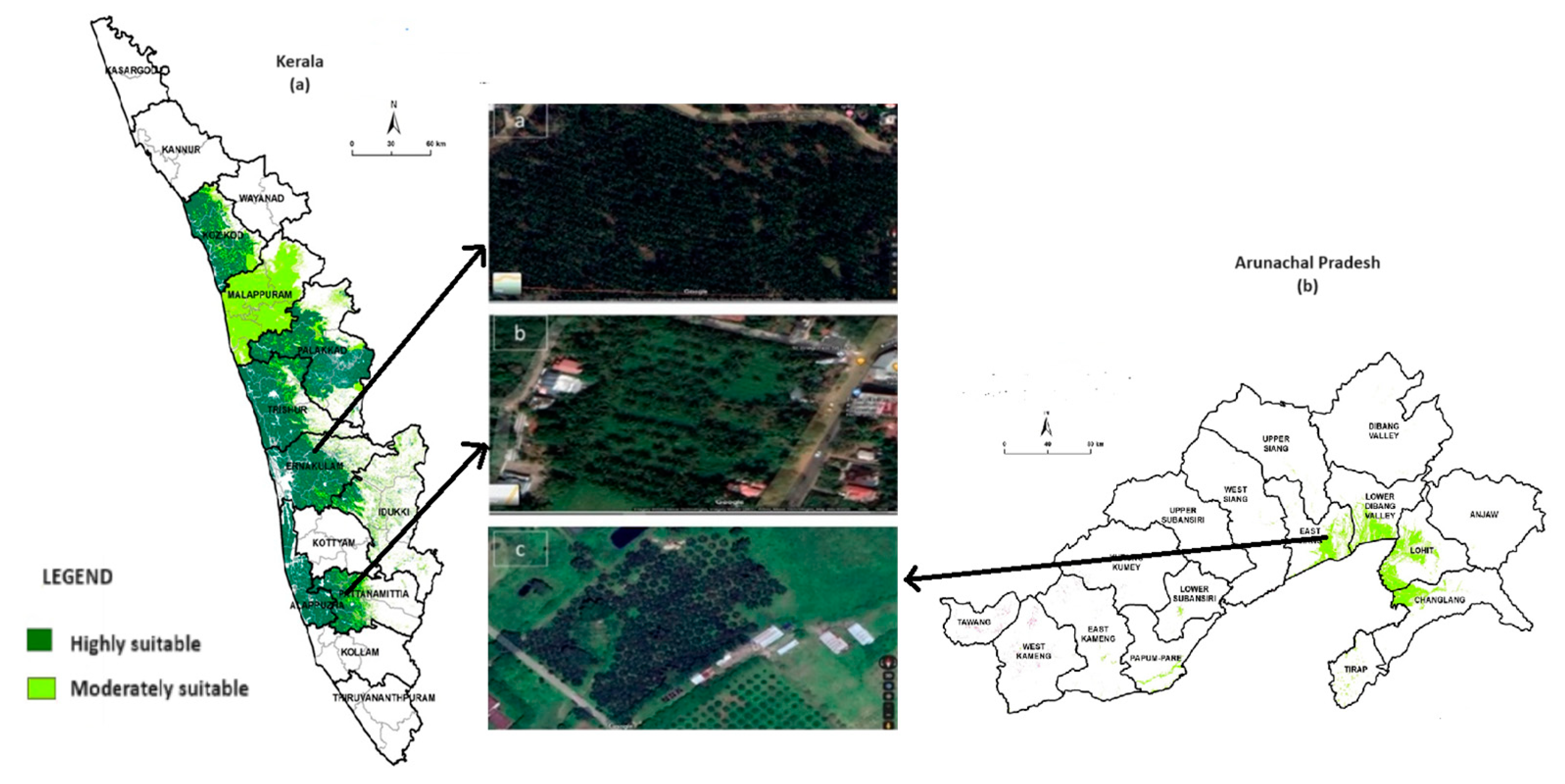 Agriculture 14 00986 g008