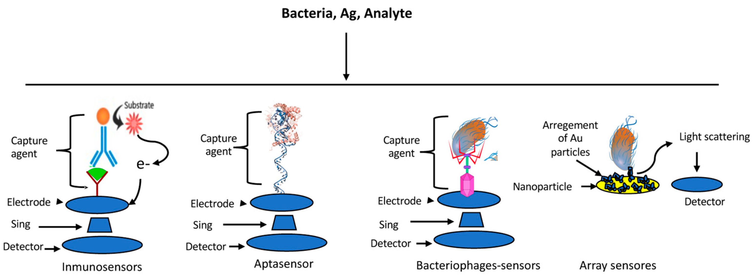 Agriculture 14 00987 g002 Agriculture 14 00987 g002