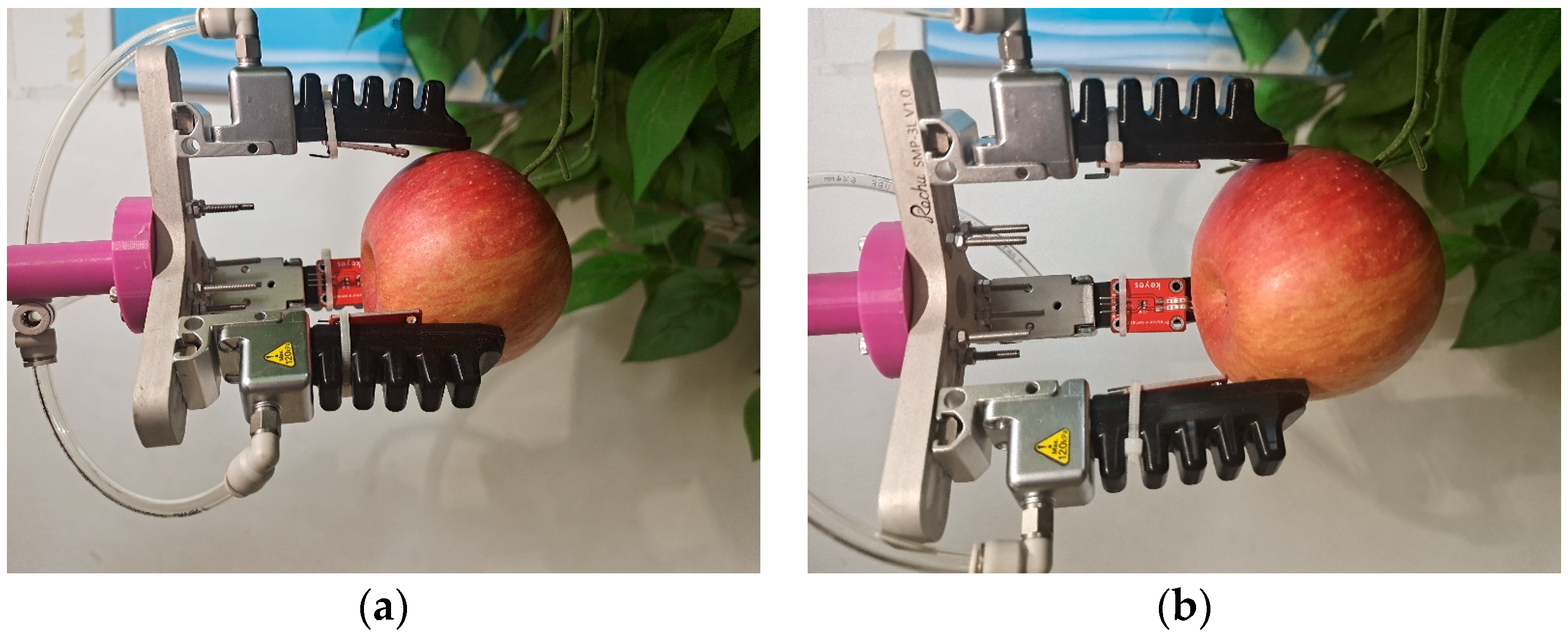 Agriculture 14 00996 g012