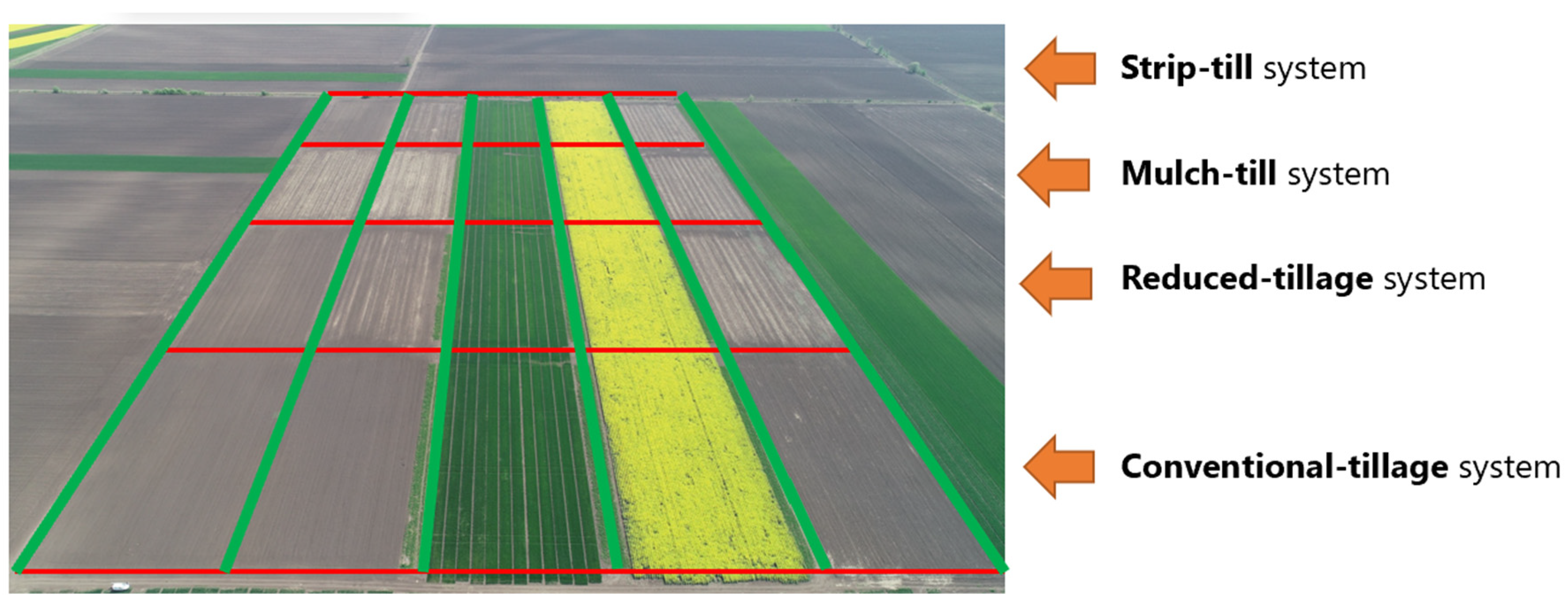 Agriculture 14 01000 g001