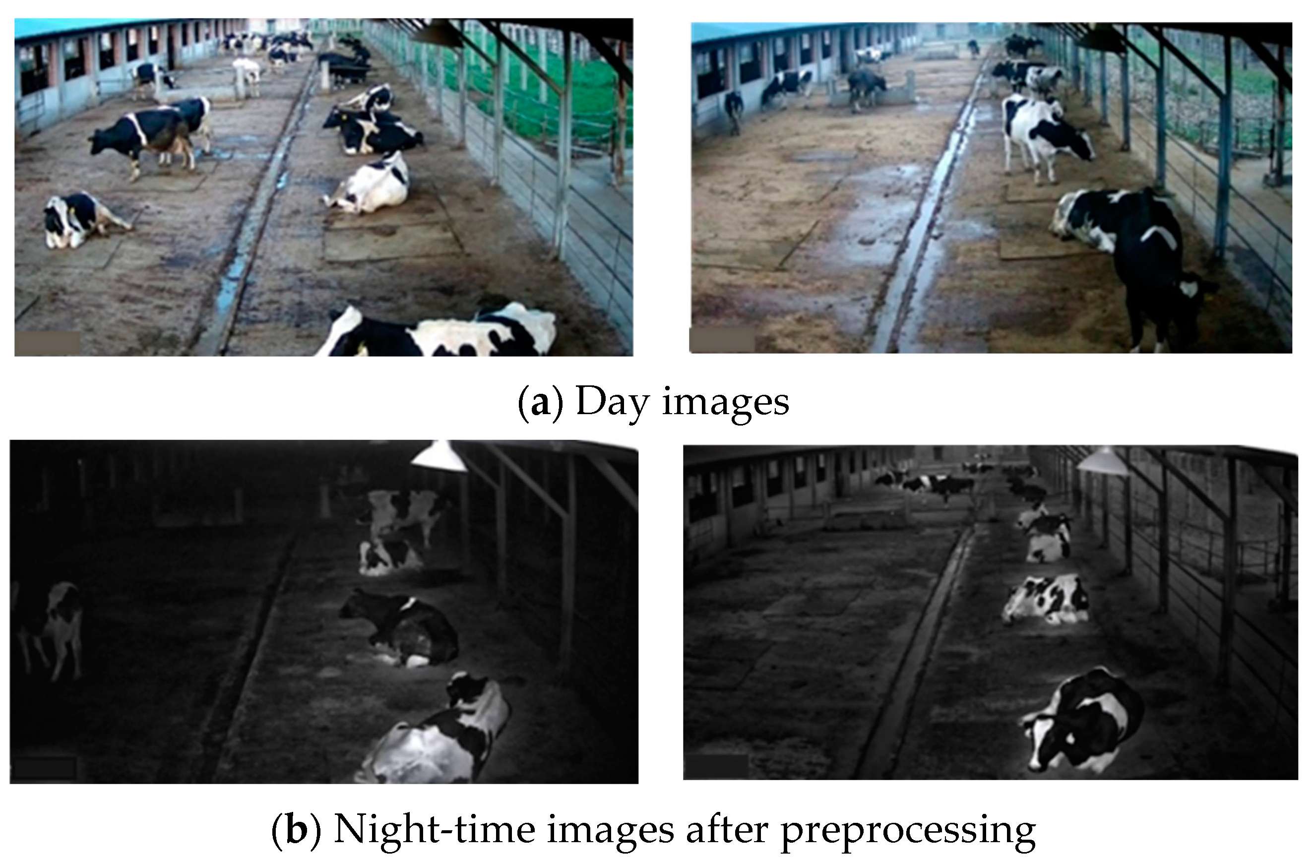 Agriculture 14 01003 g001