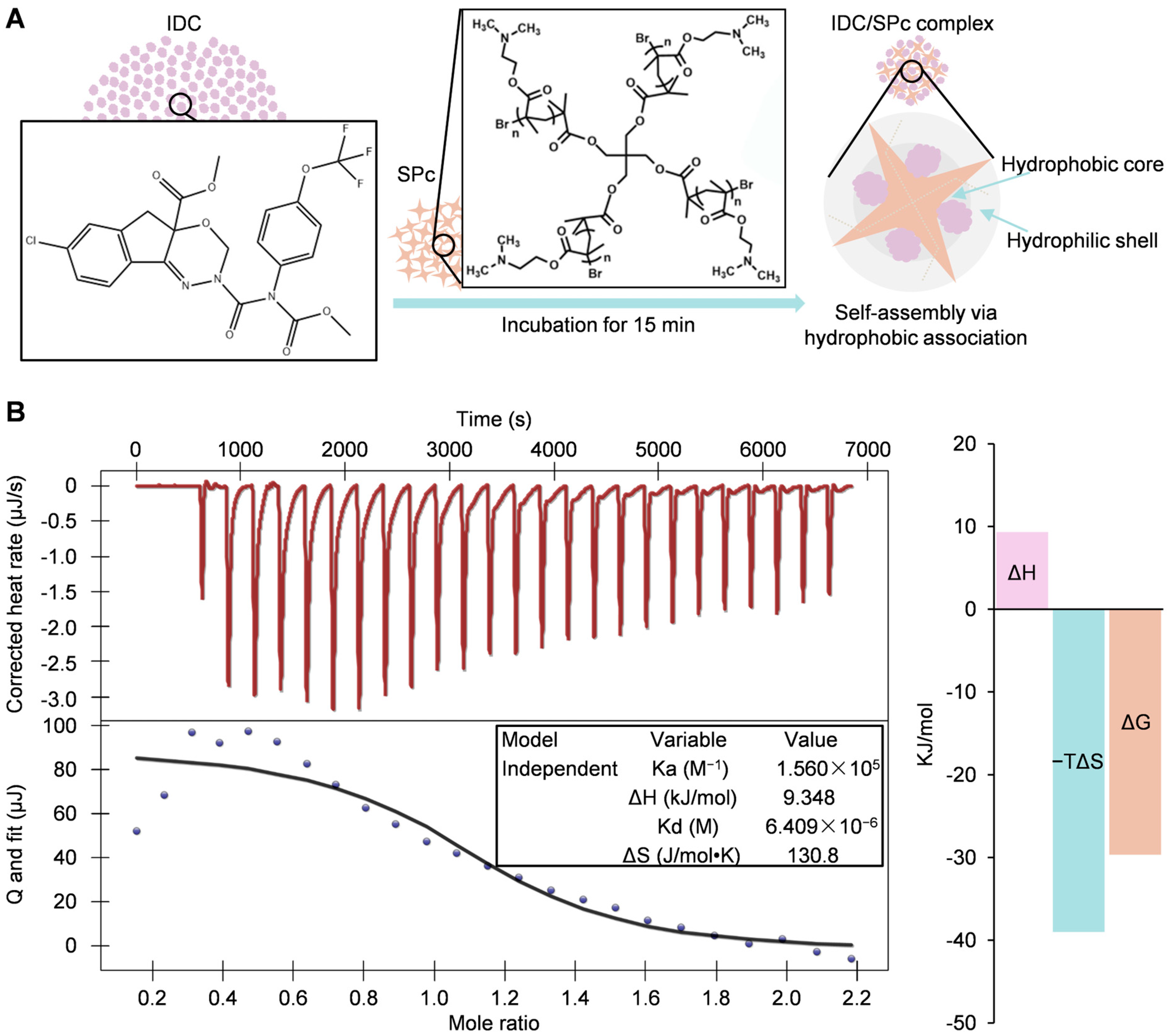 Agriculture 14 01006 g001