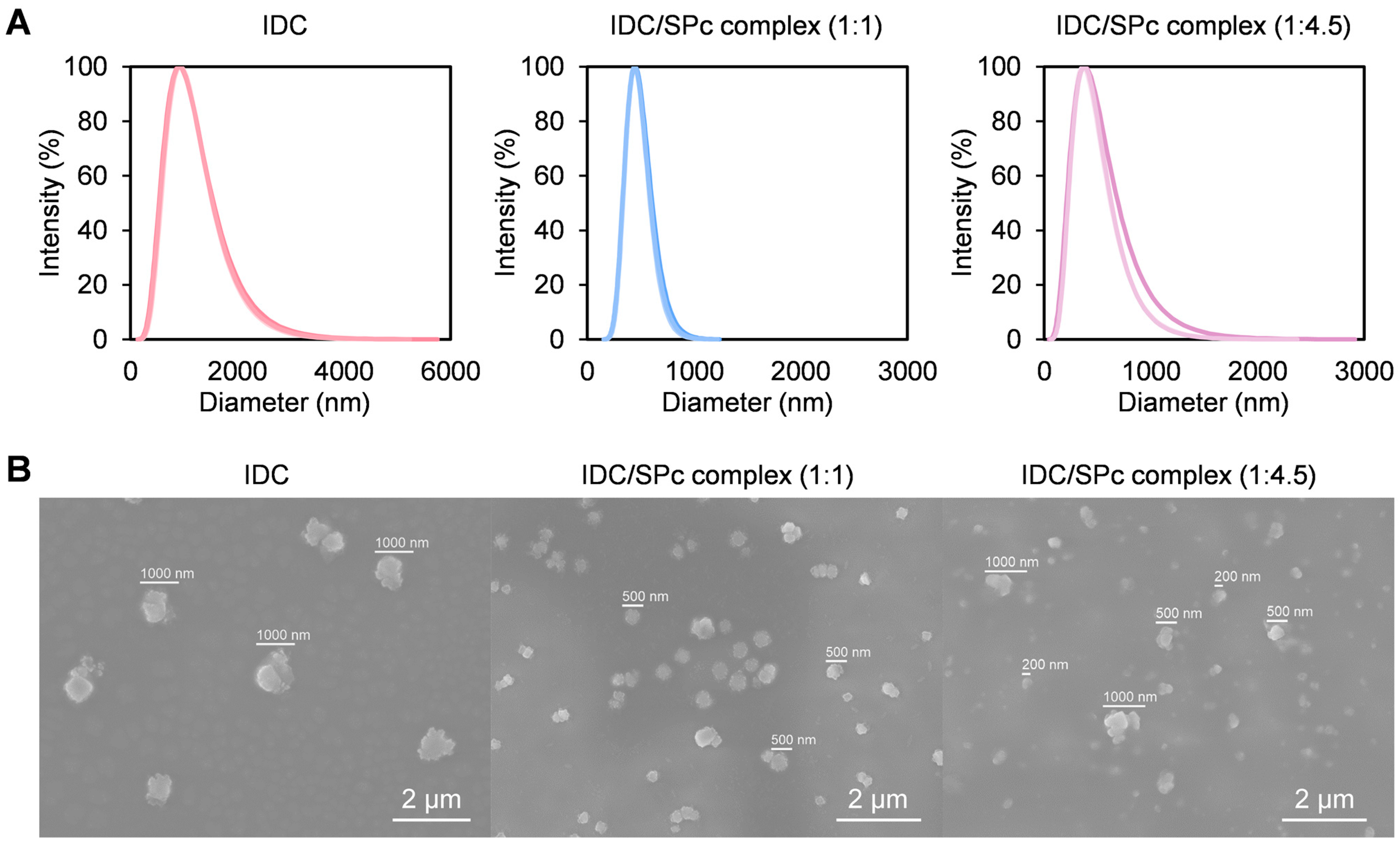 Agriculture 14 01006 g002
