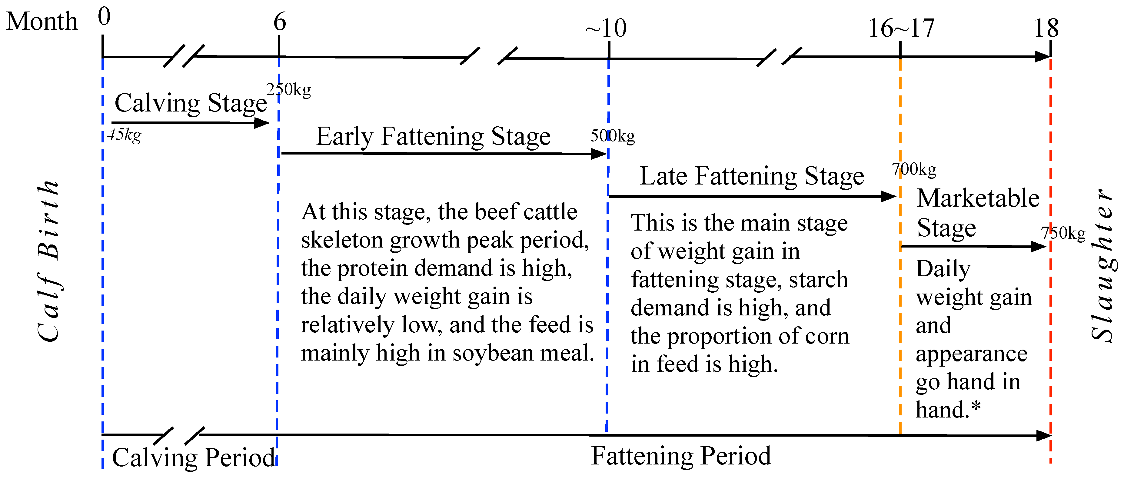 Agriculture 14 01007 g001