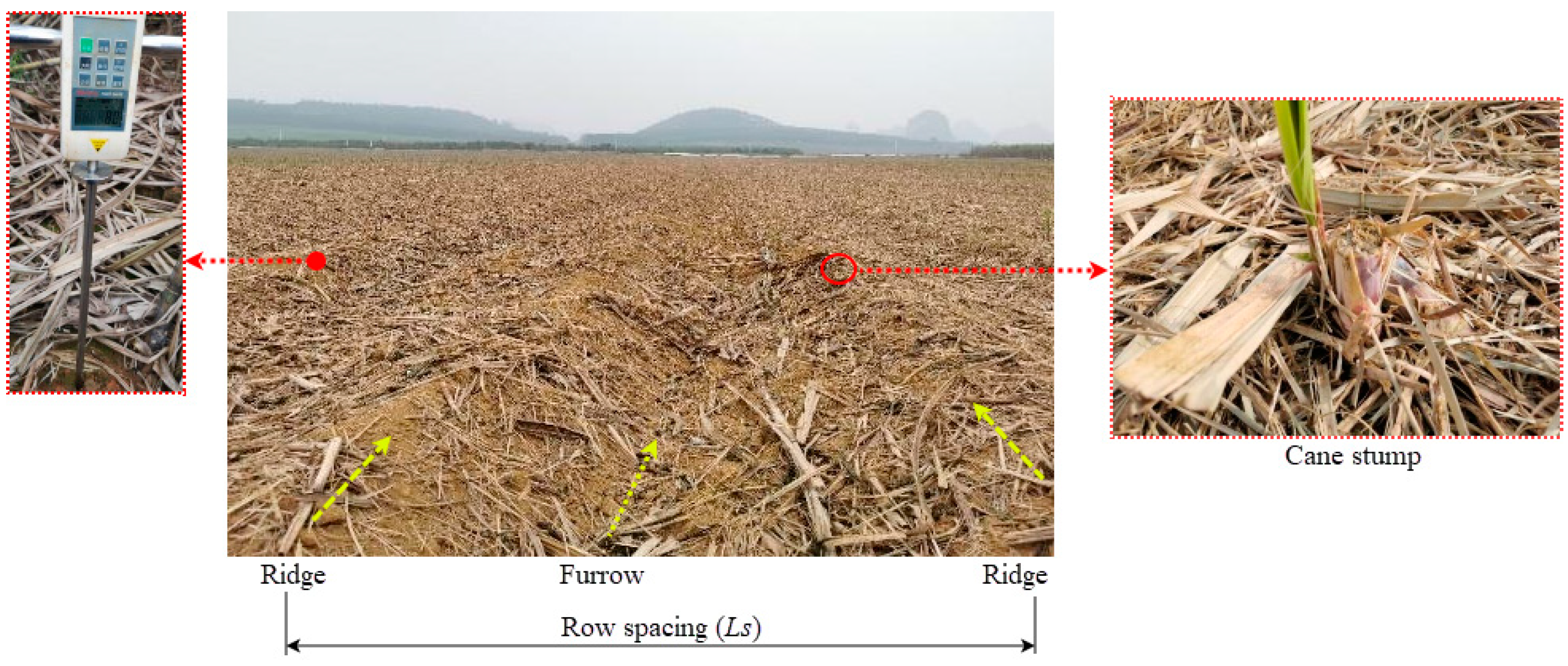 Agriculture 14 01013 g001