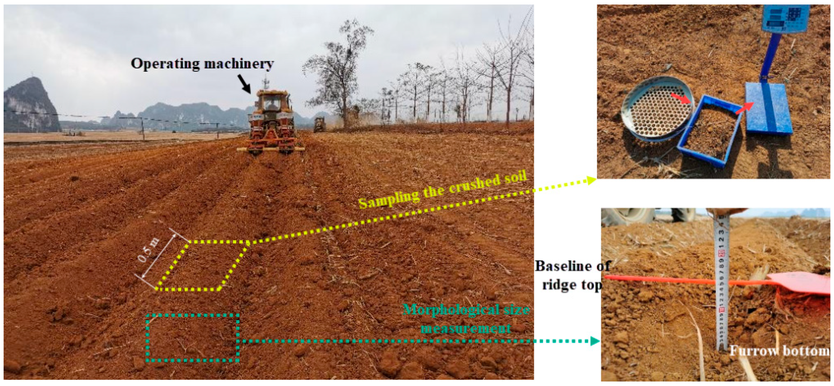 Agriculture 14 01013 g010