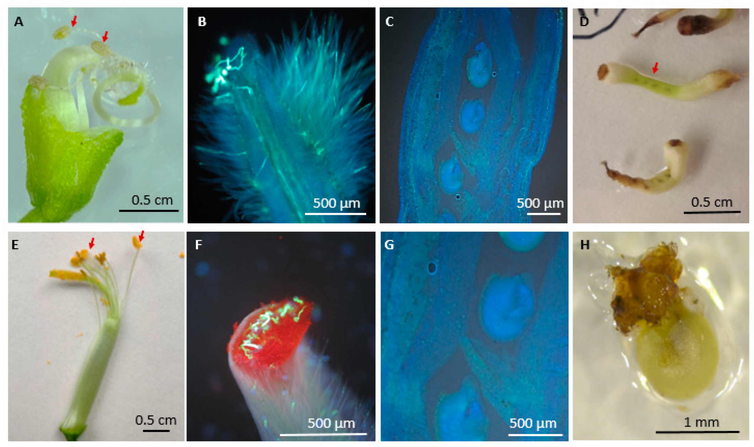 Agriculture 14 01031 g003