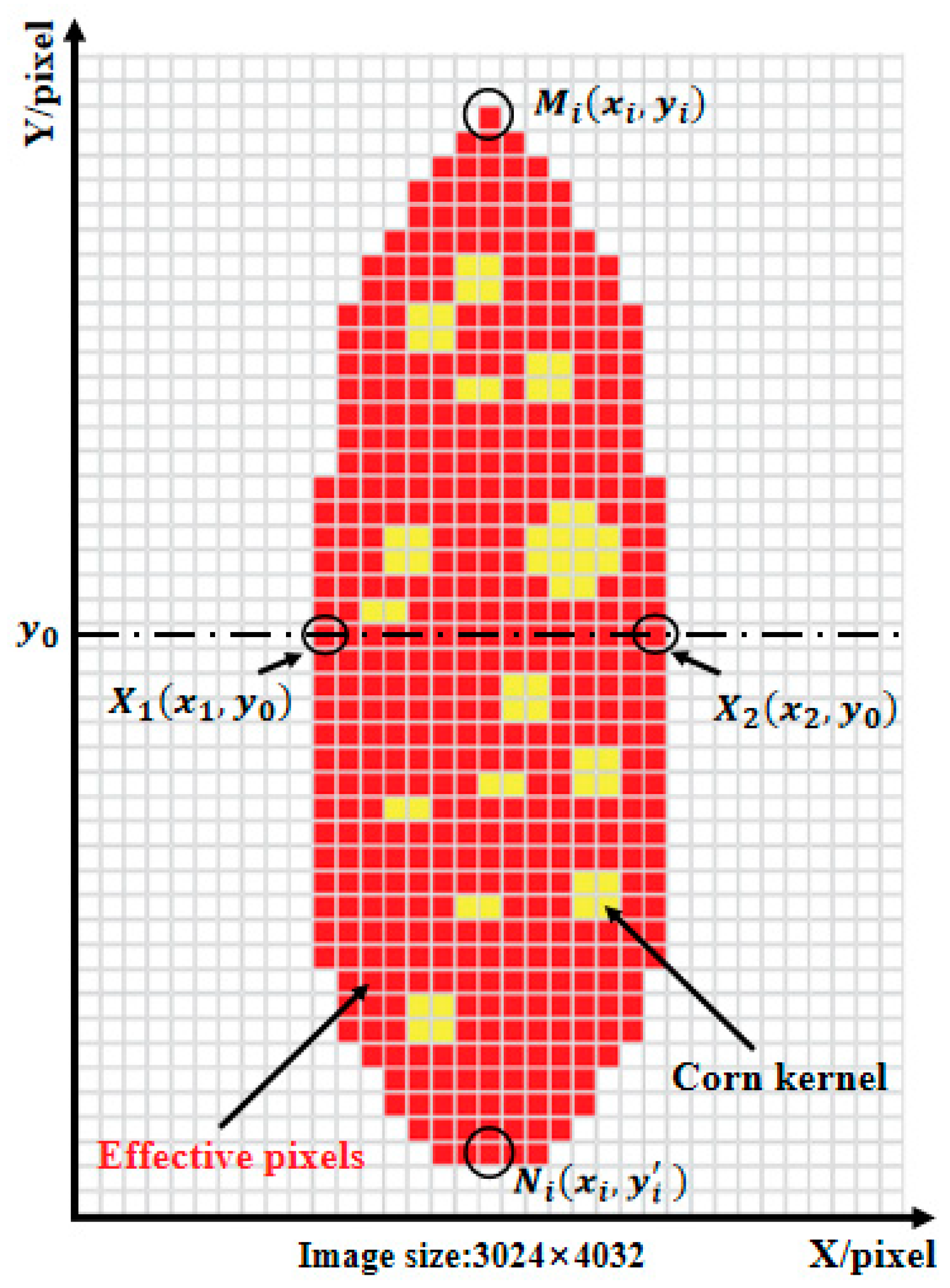 Agriculture 14 01037 g007