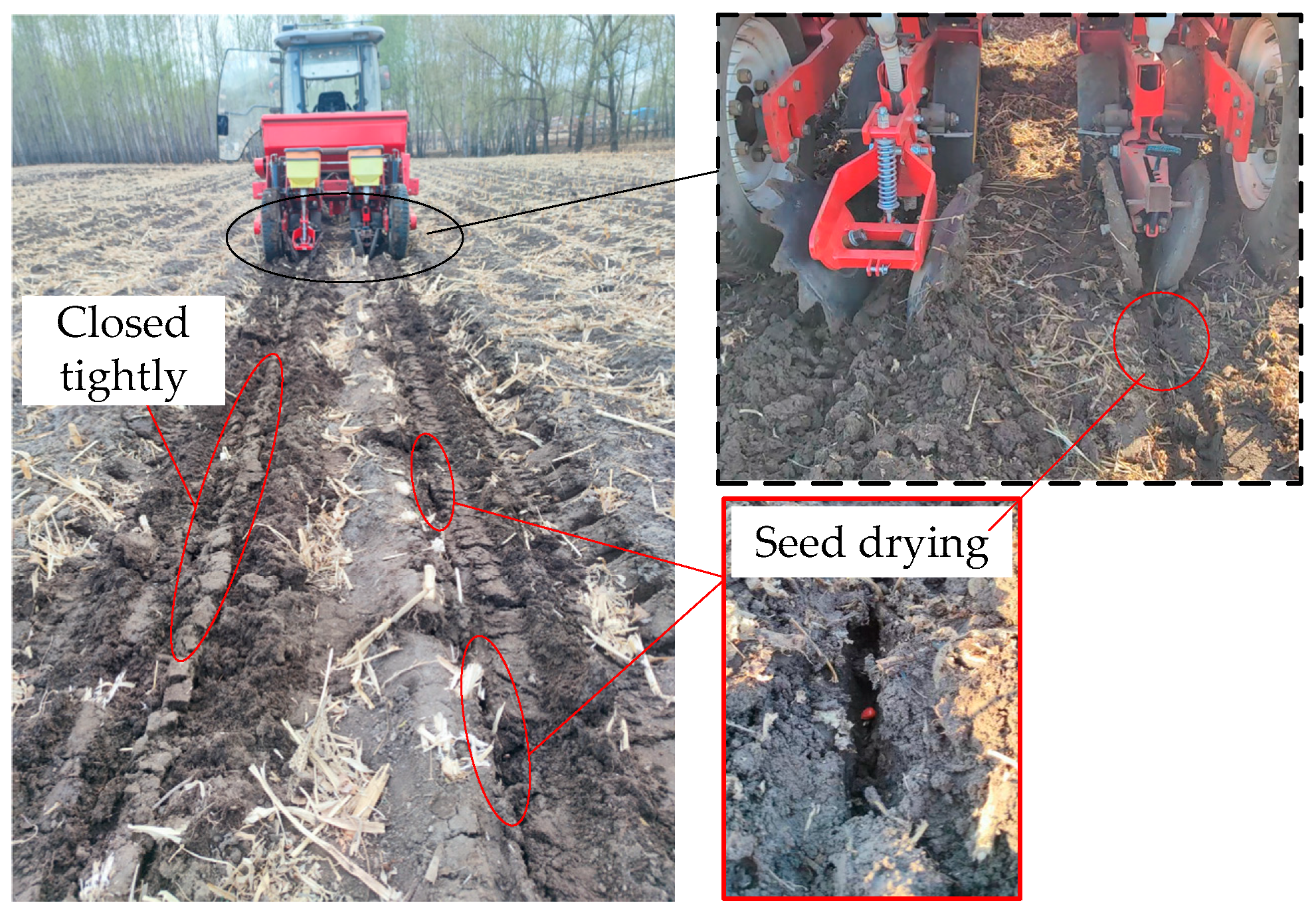 Agriculture 14 01040 g010