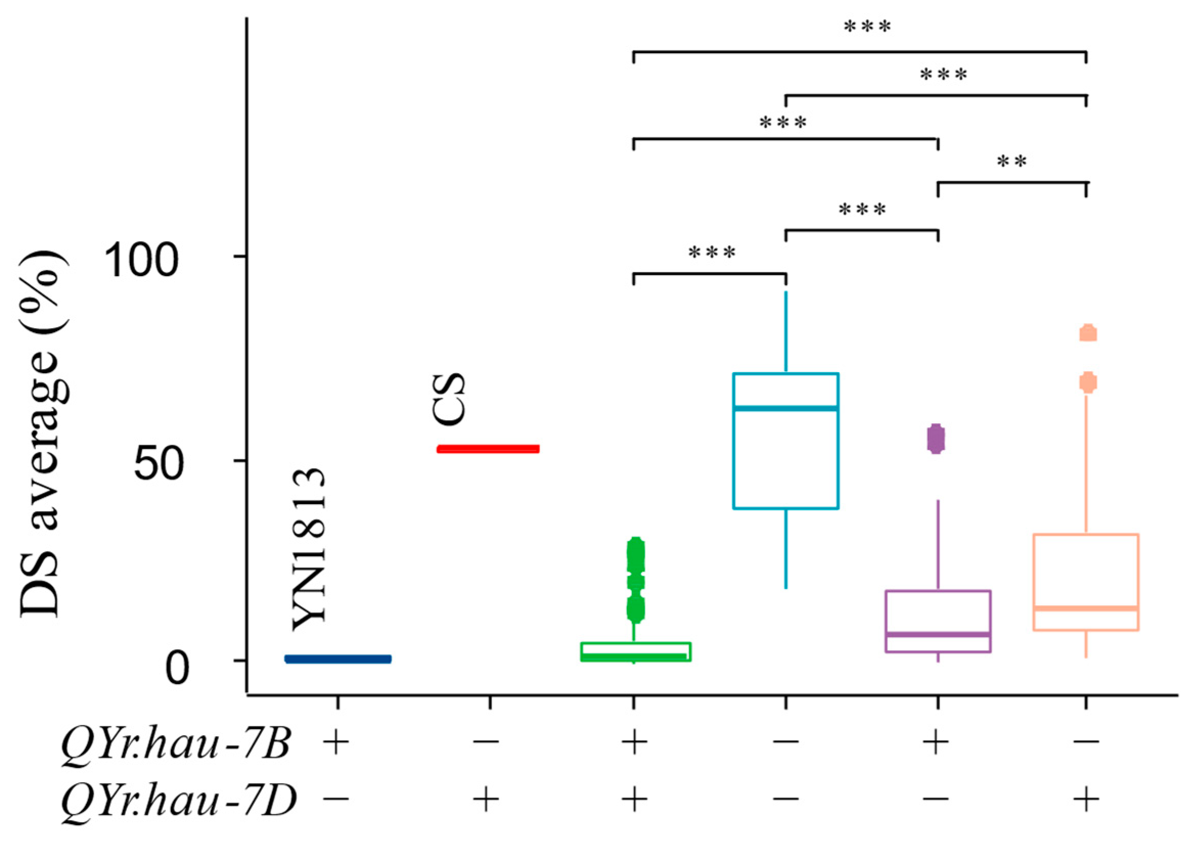 Agriculture 14 01044 g004