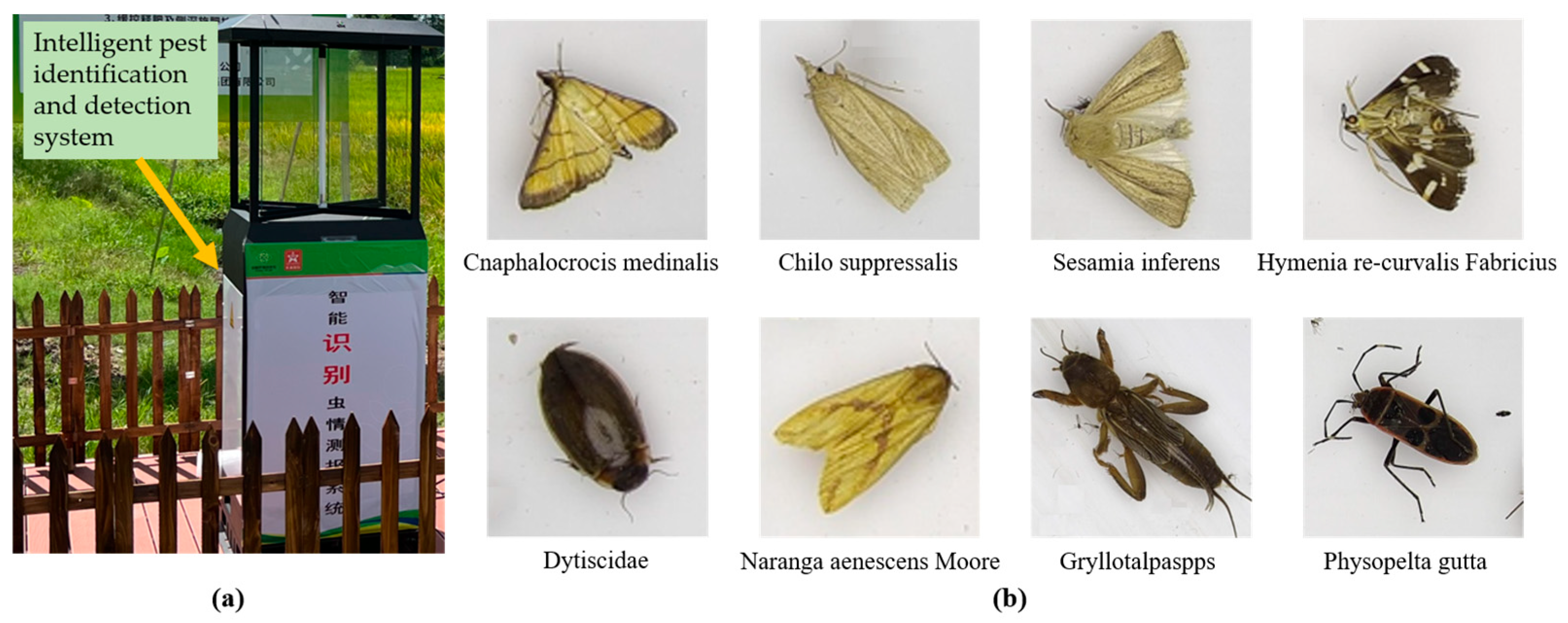 Agriculture 14 01052 g001