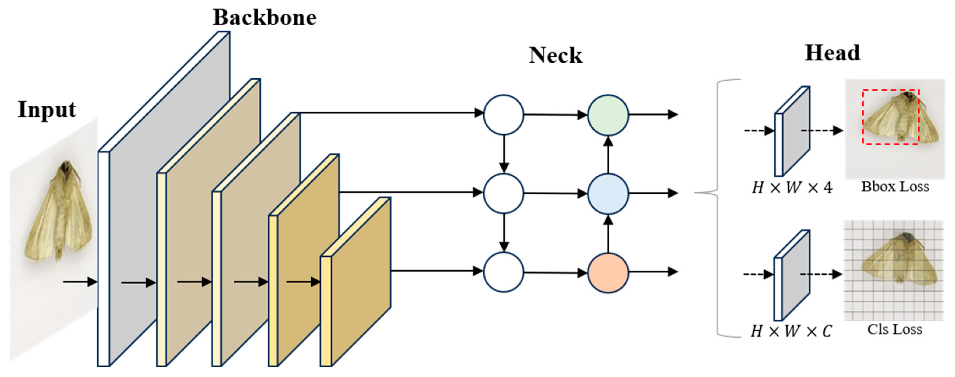 Agriculture 14 01052 g003