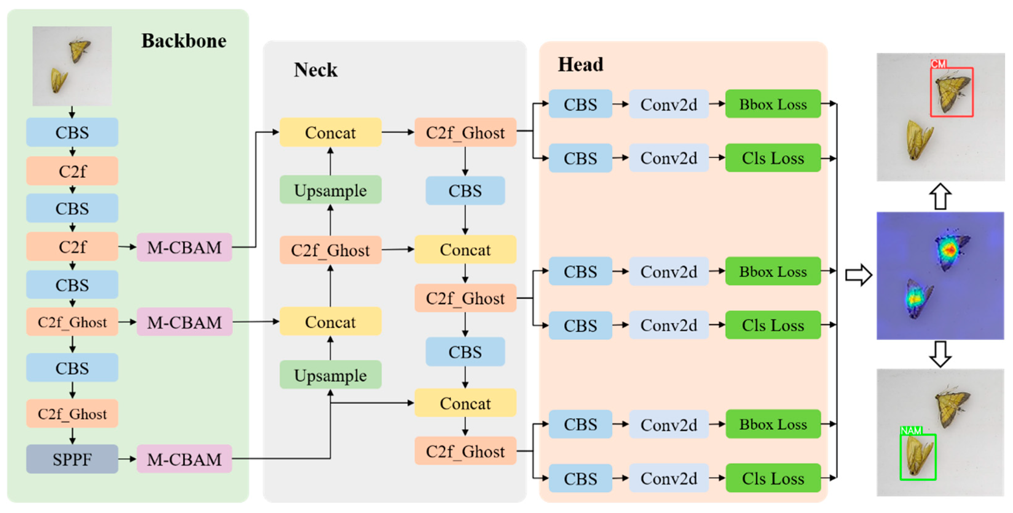 Agriculture 14 01052 g004