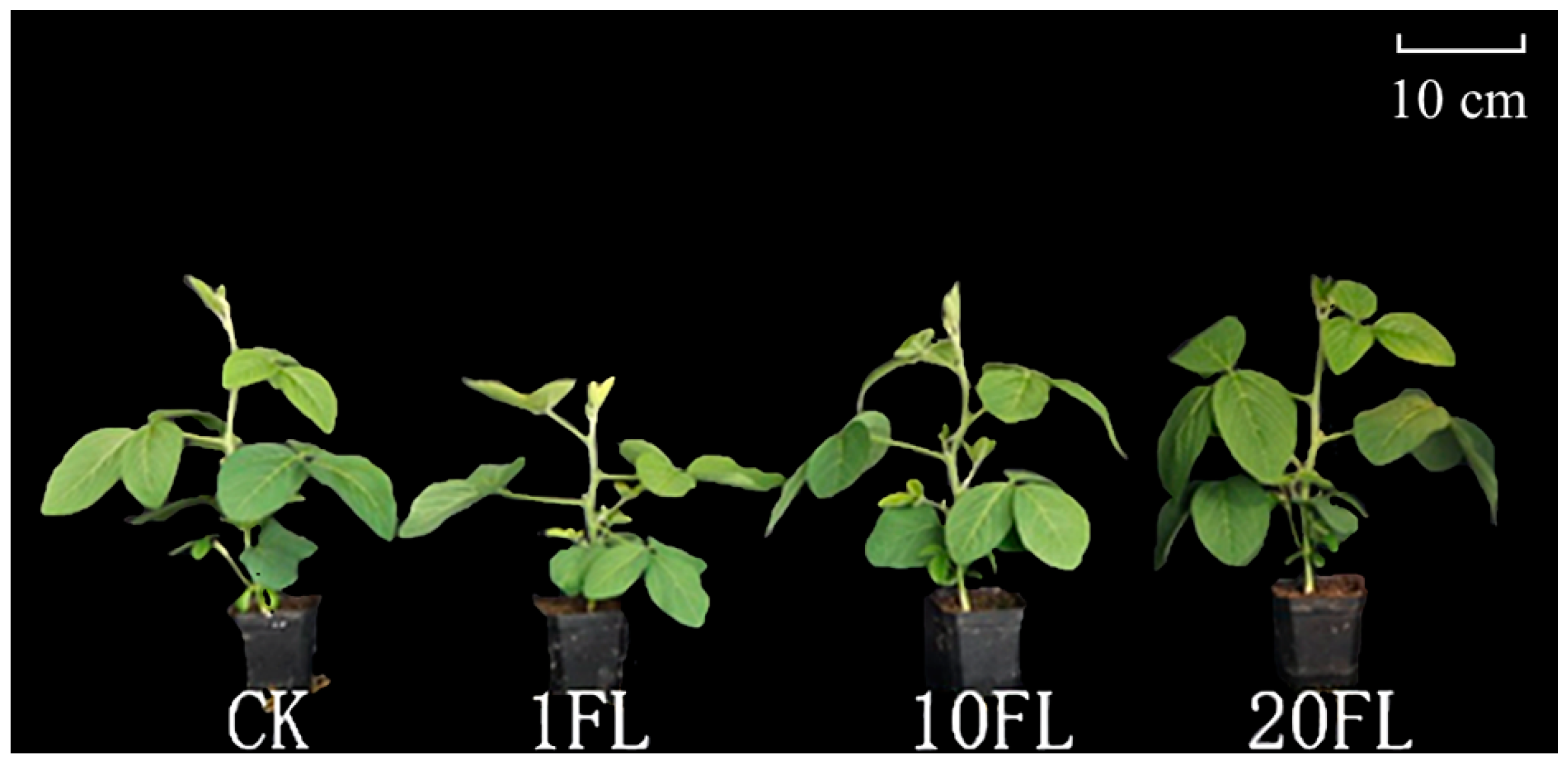 Agriculture 14 01056 g002