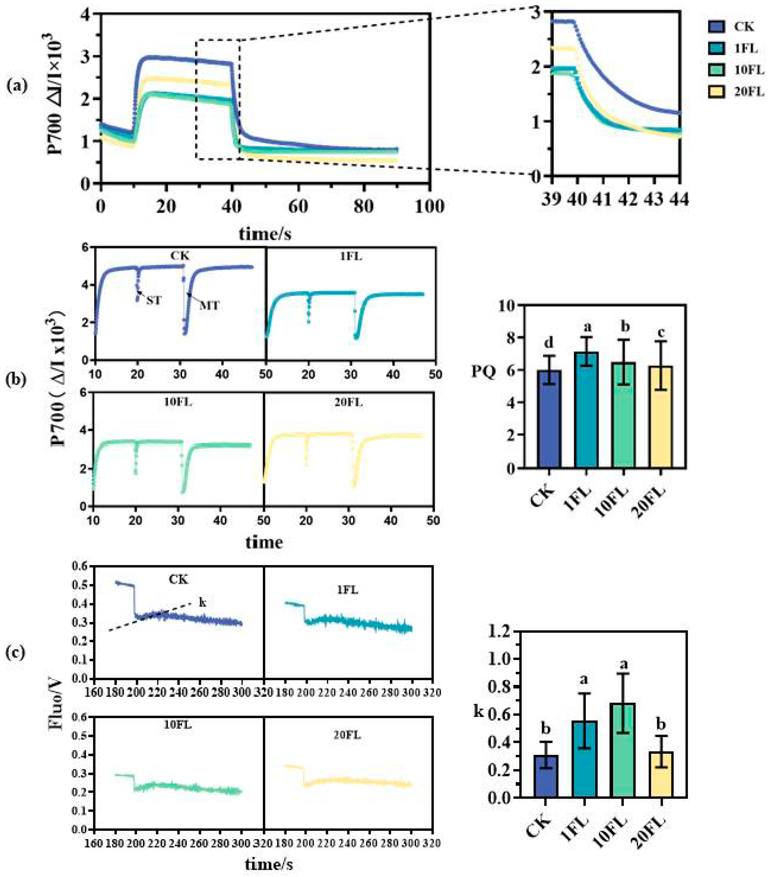 Agriculture 14 01056 g006