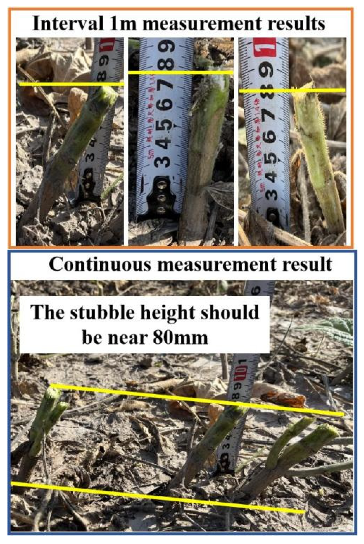 Agriculture 14 01058 g019