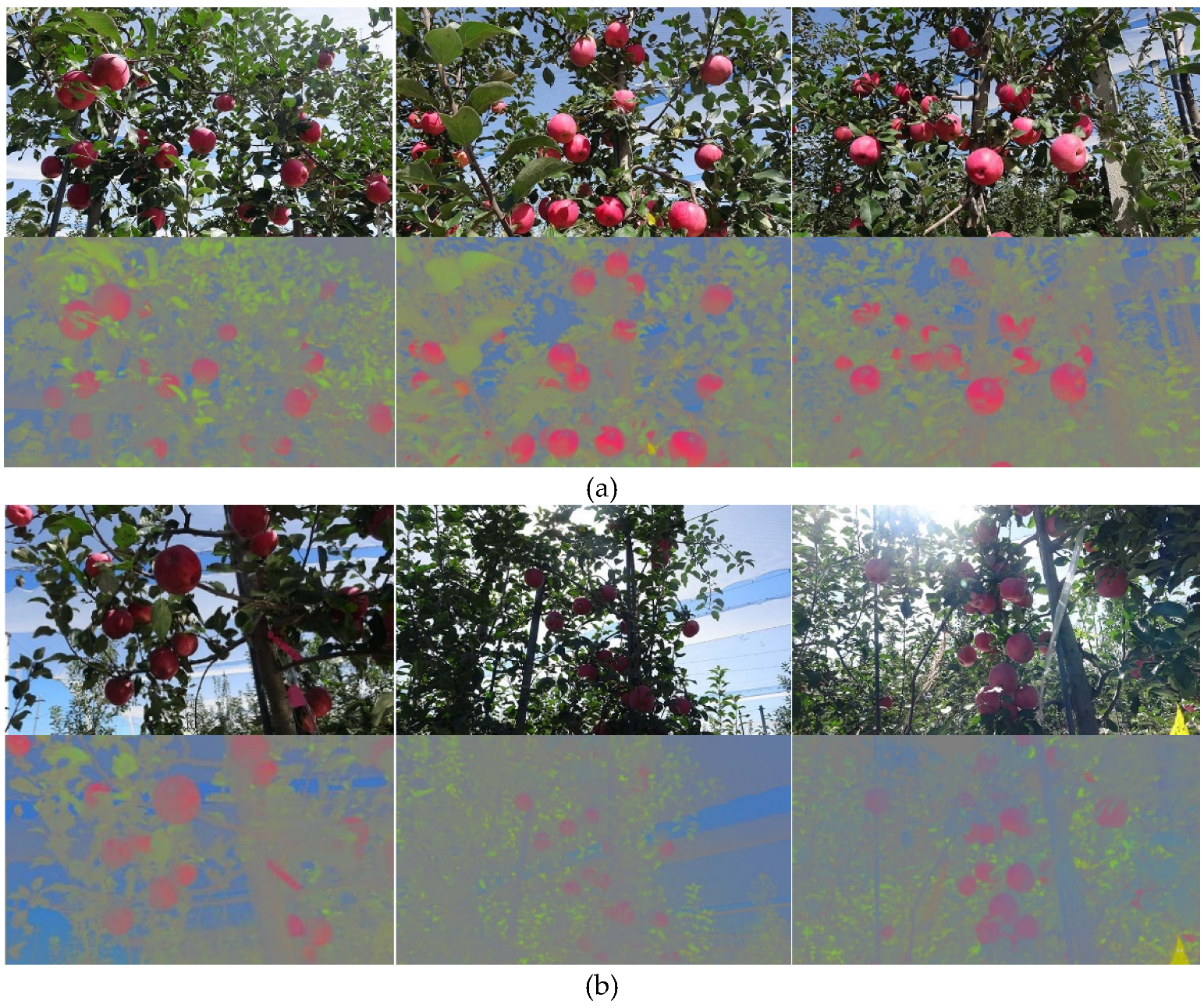 Agriculture 14 01059 g002