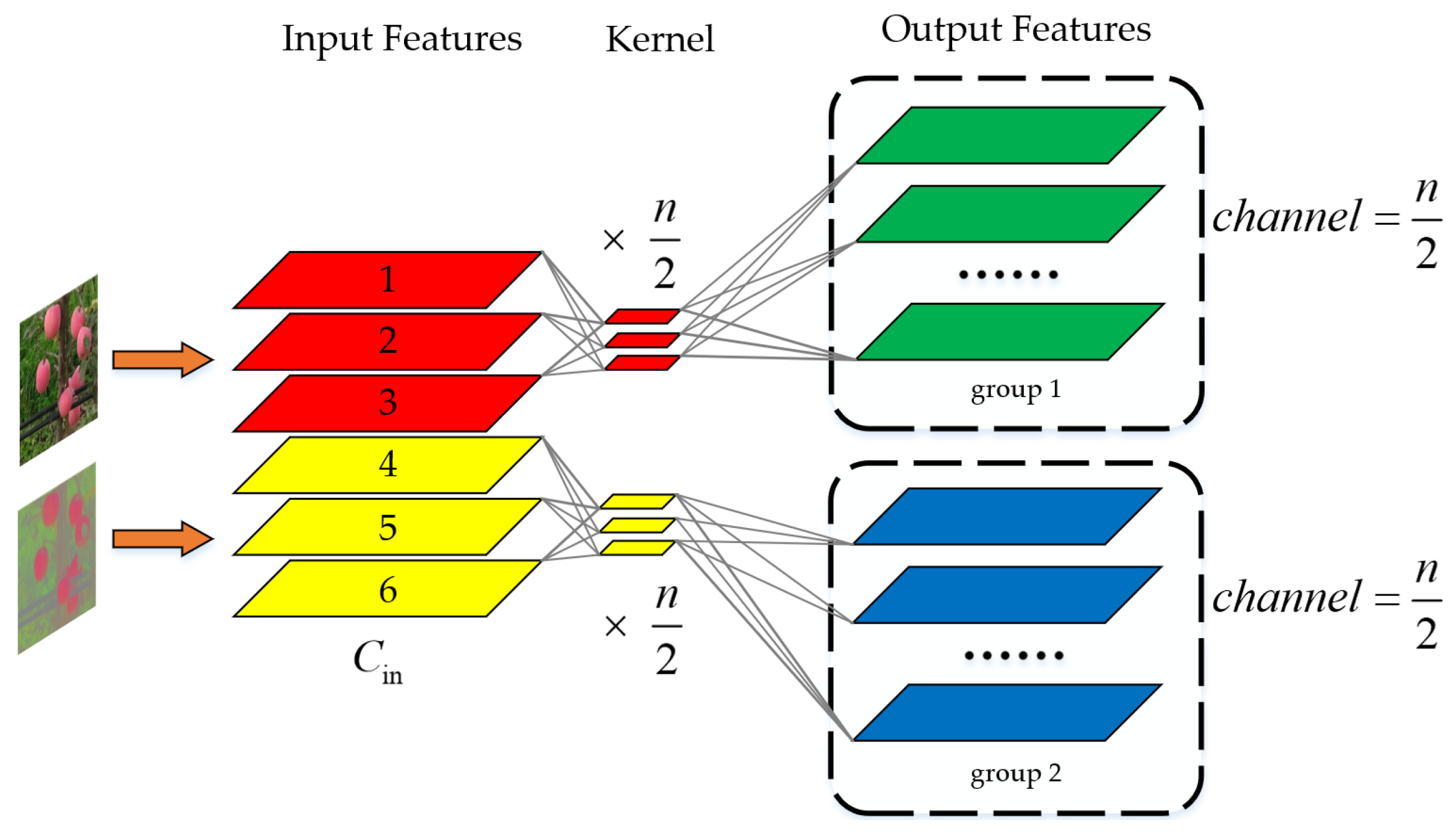 Agriculture 14 01059 g006