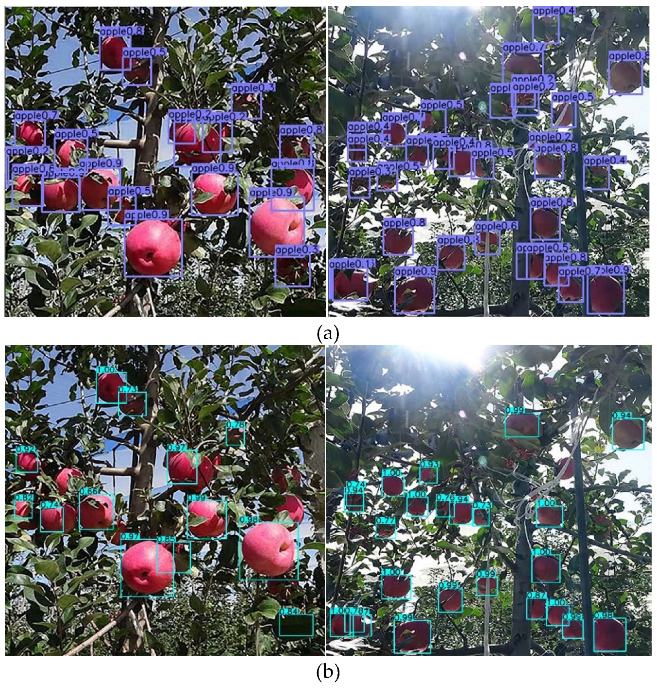 Agriculture 14 01059 g016a