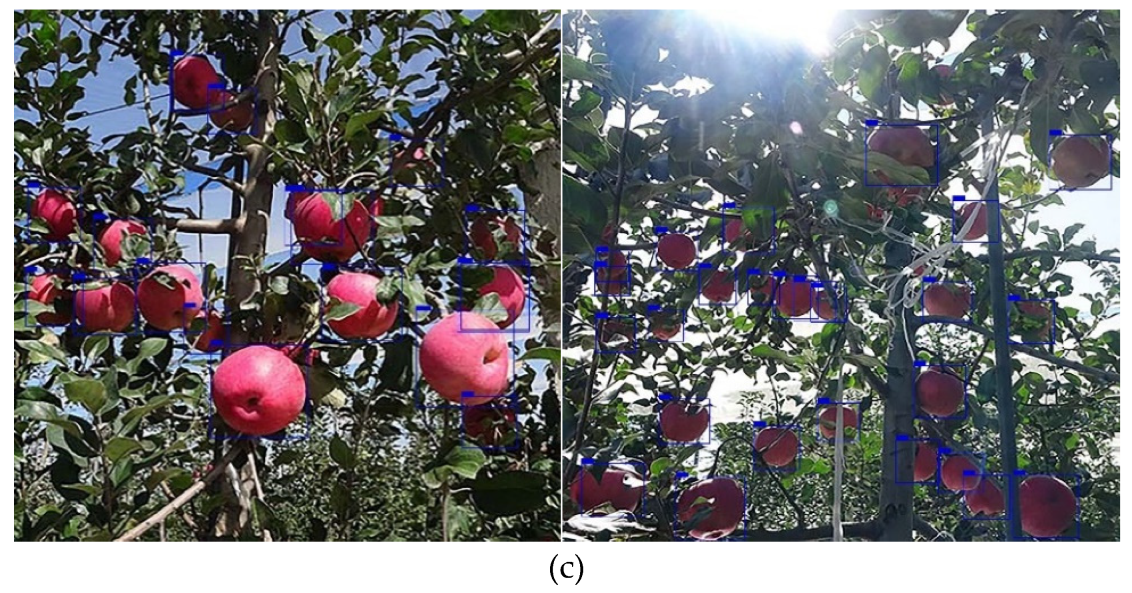 Agriculture 14 01059 g016b