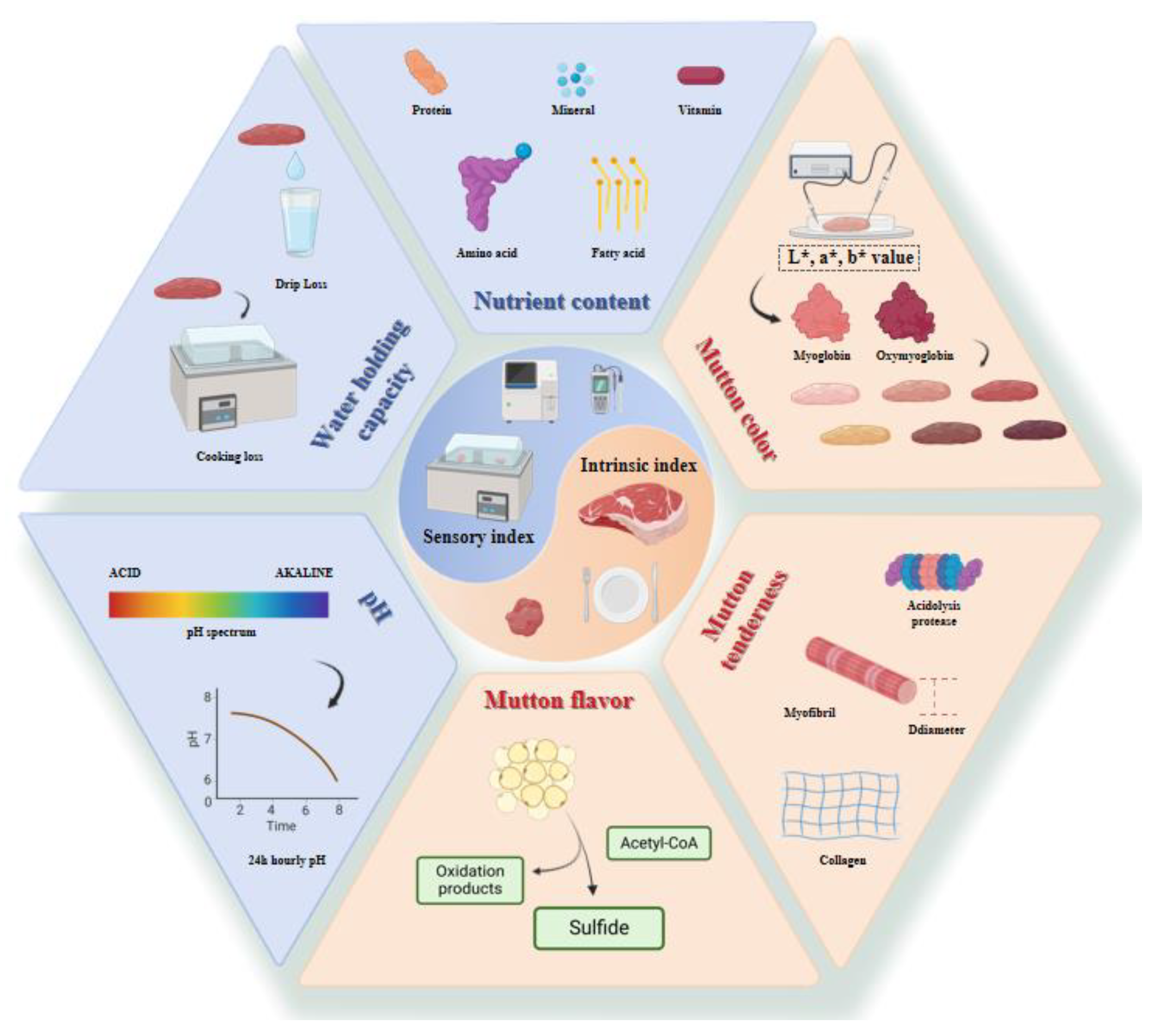 Agriculture 14 01060 g002