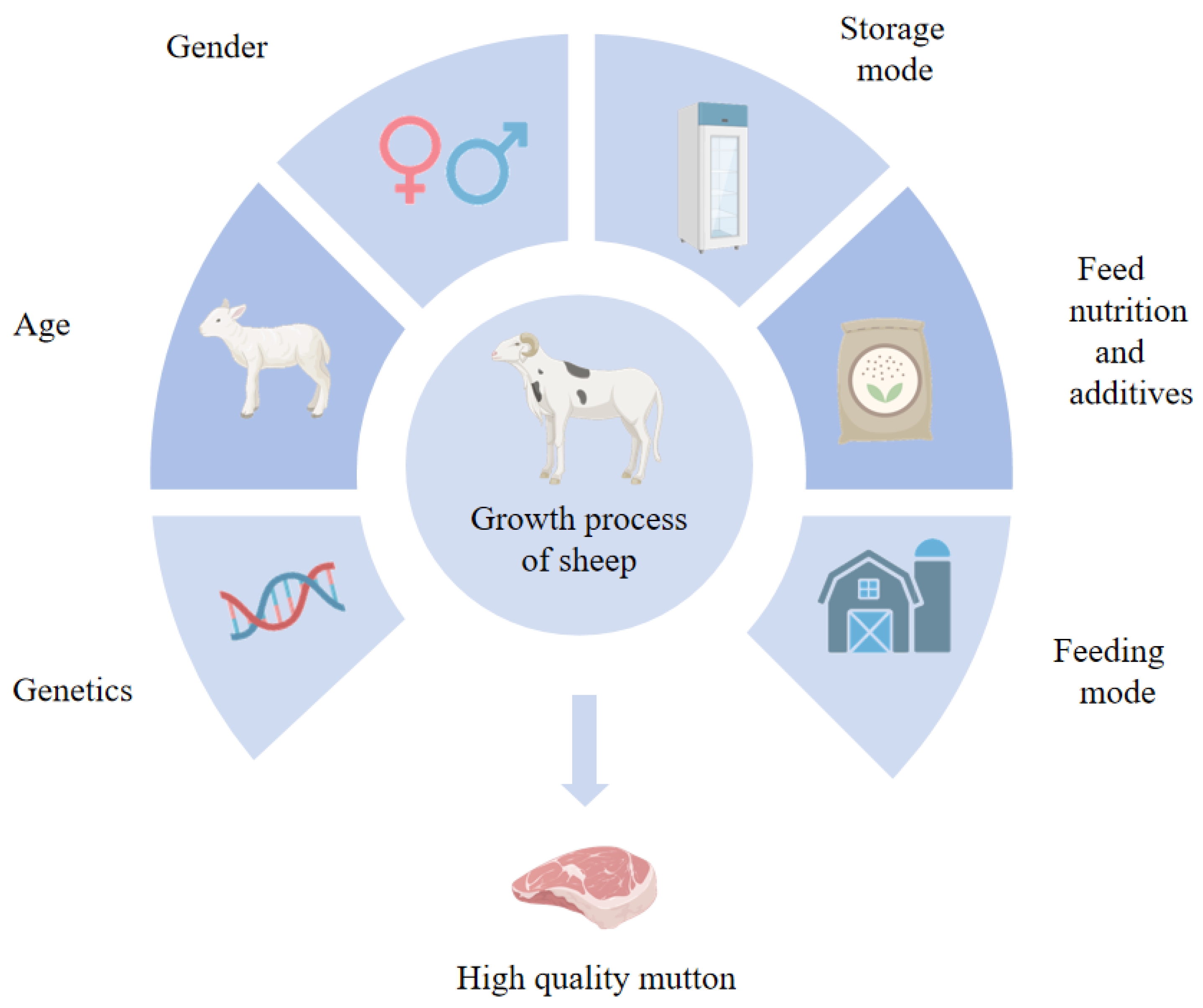 Agriculture 14 01060 g004