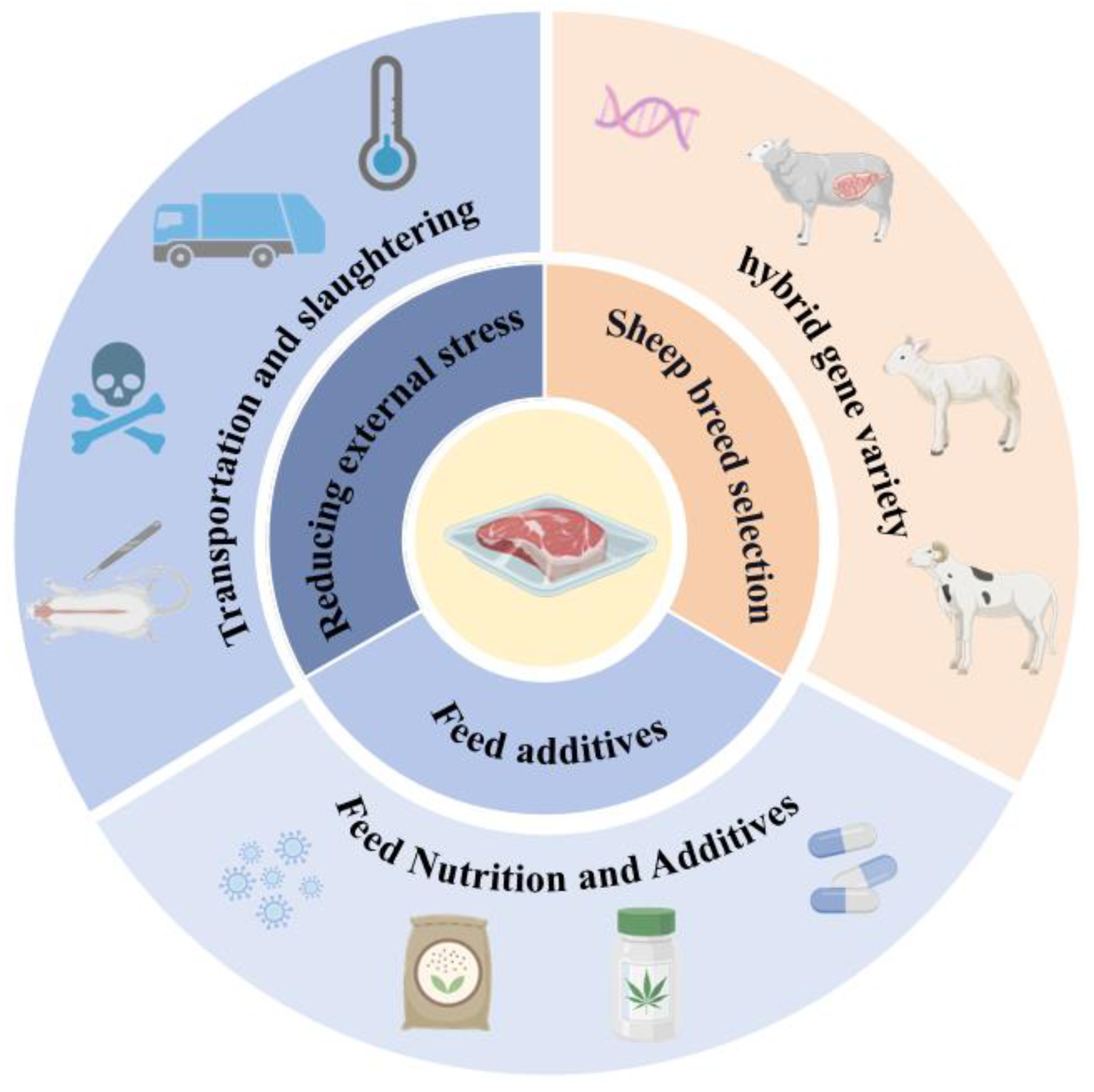 Agriculture 14 01060 g005