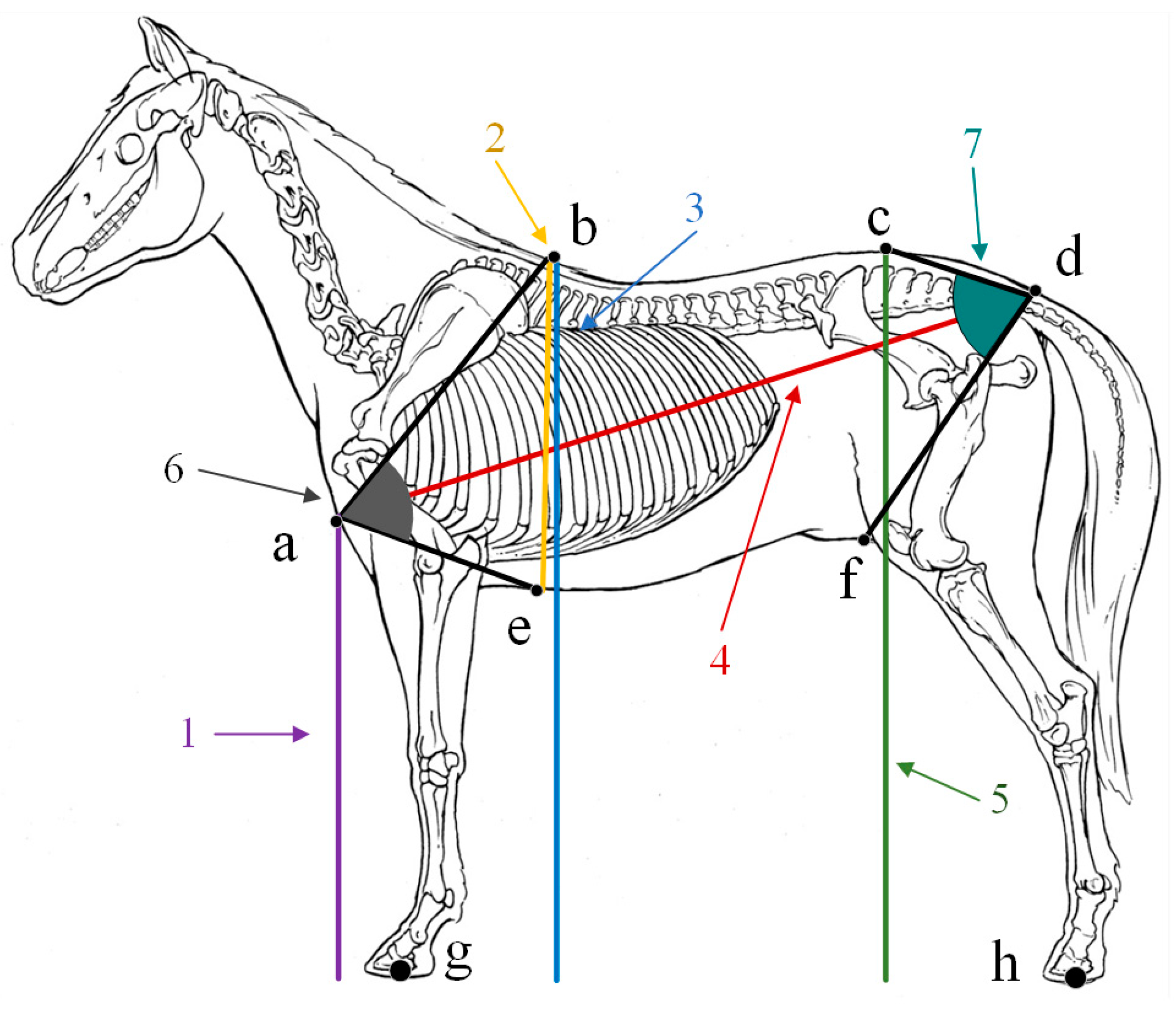 Agriculture 14 01069 g001