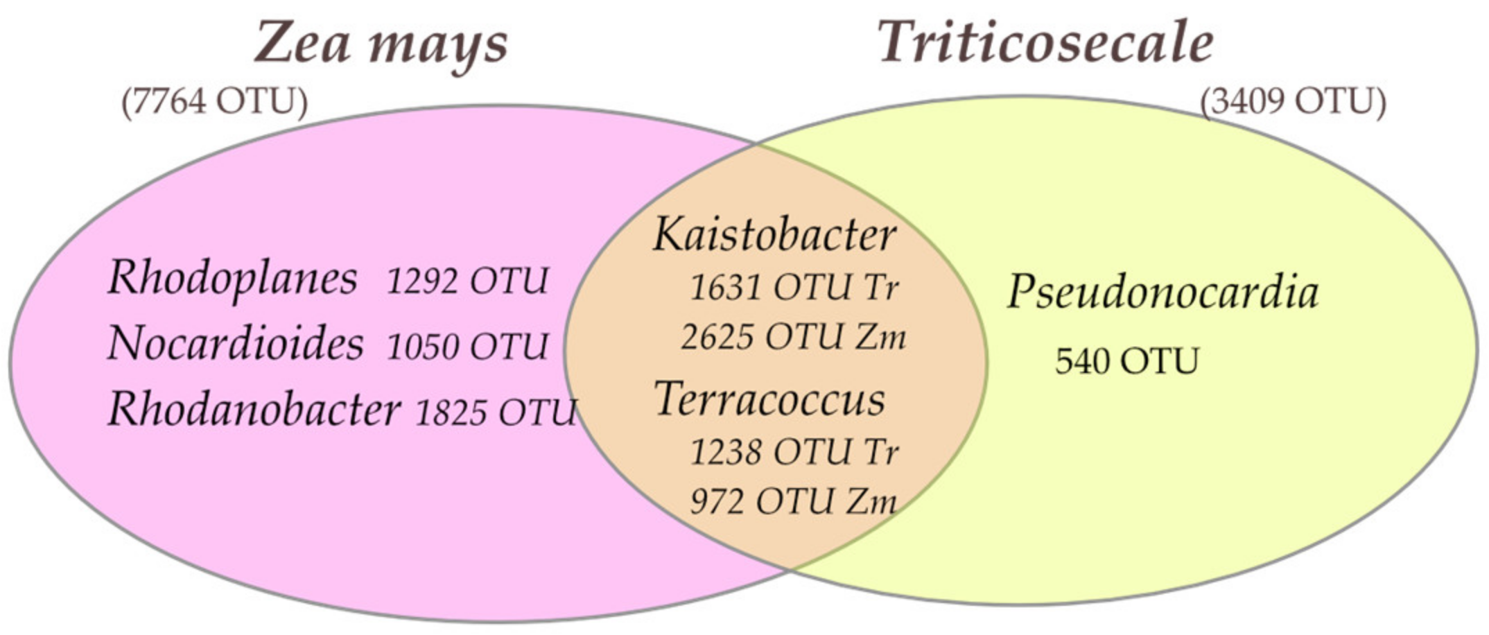 Agriculture 14 01070 g008