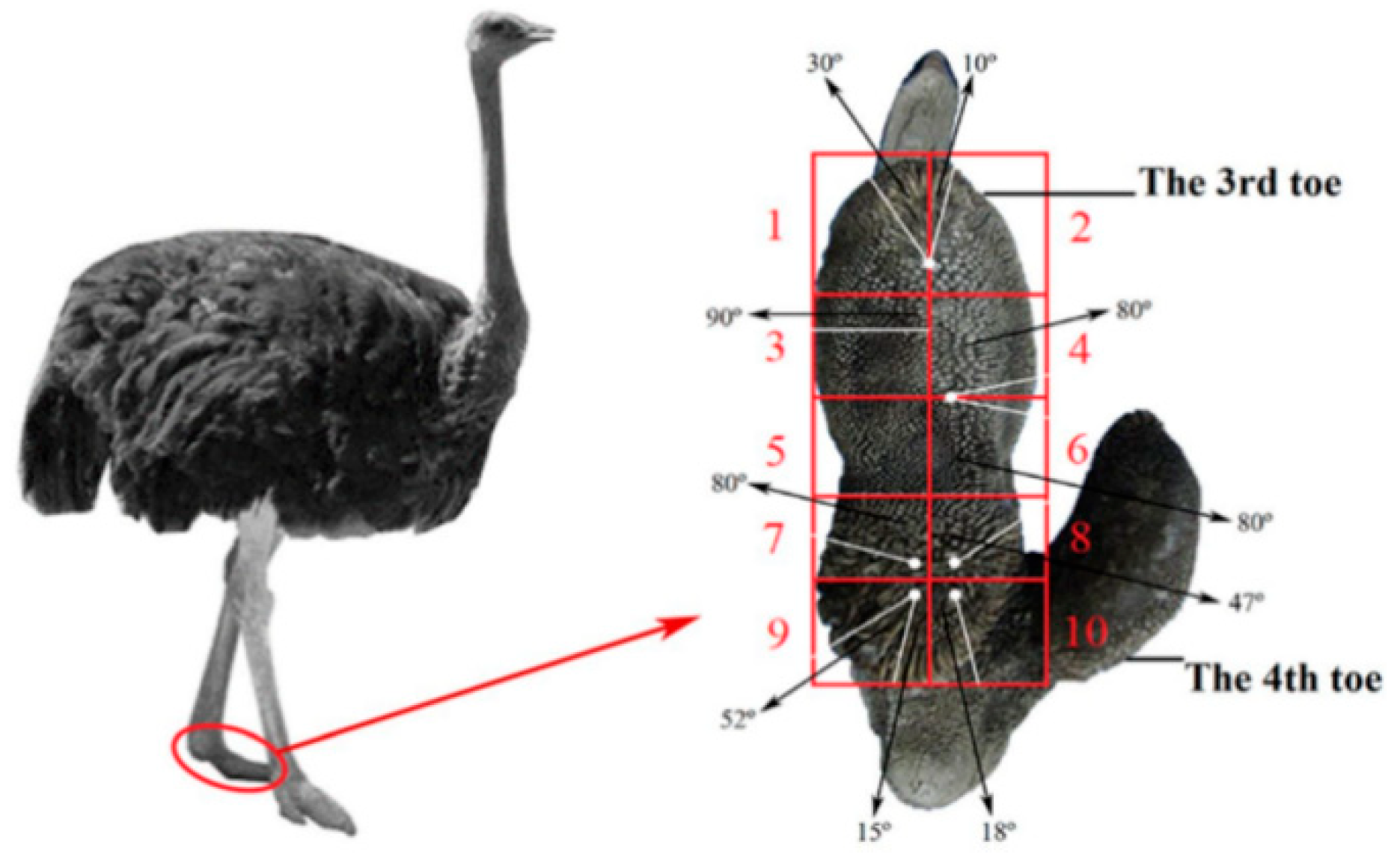 Agriculture 14 01079 g001