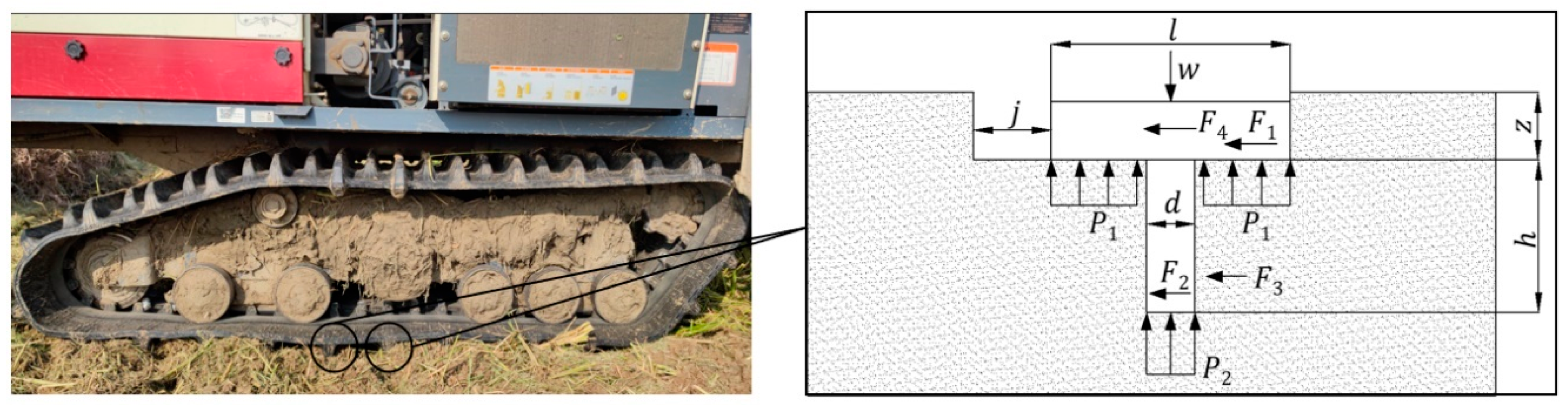 Agriculture 14 01079 g003