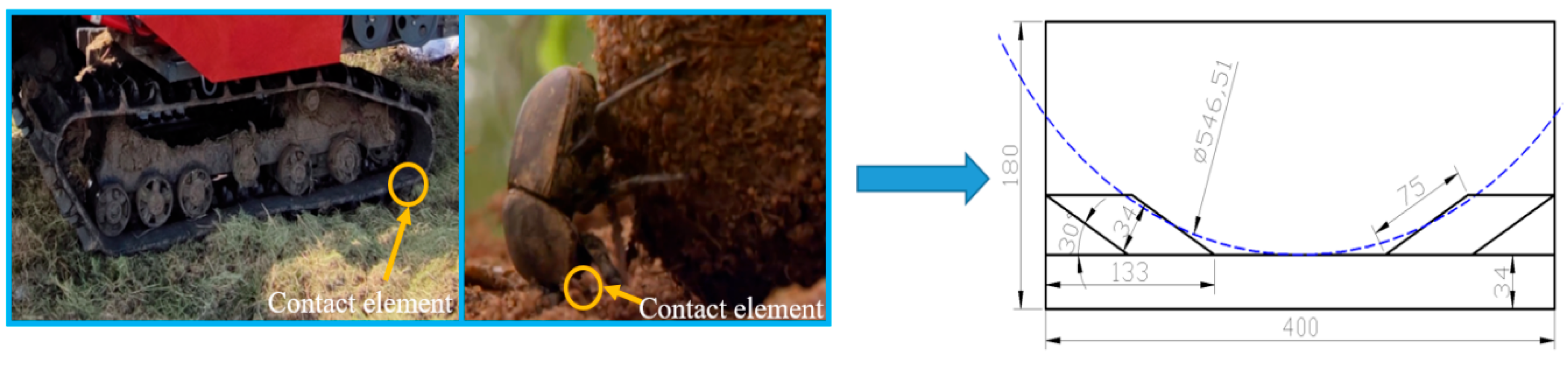 Agriculture 14 01079 g008