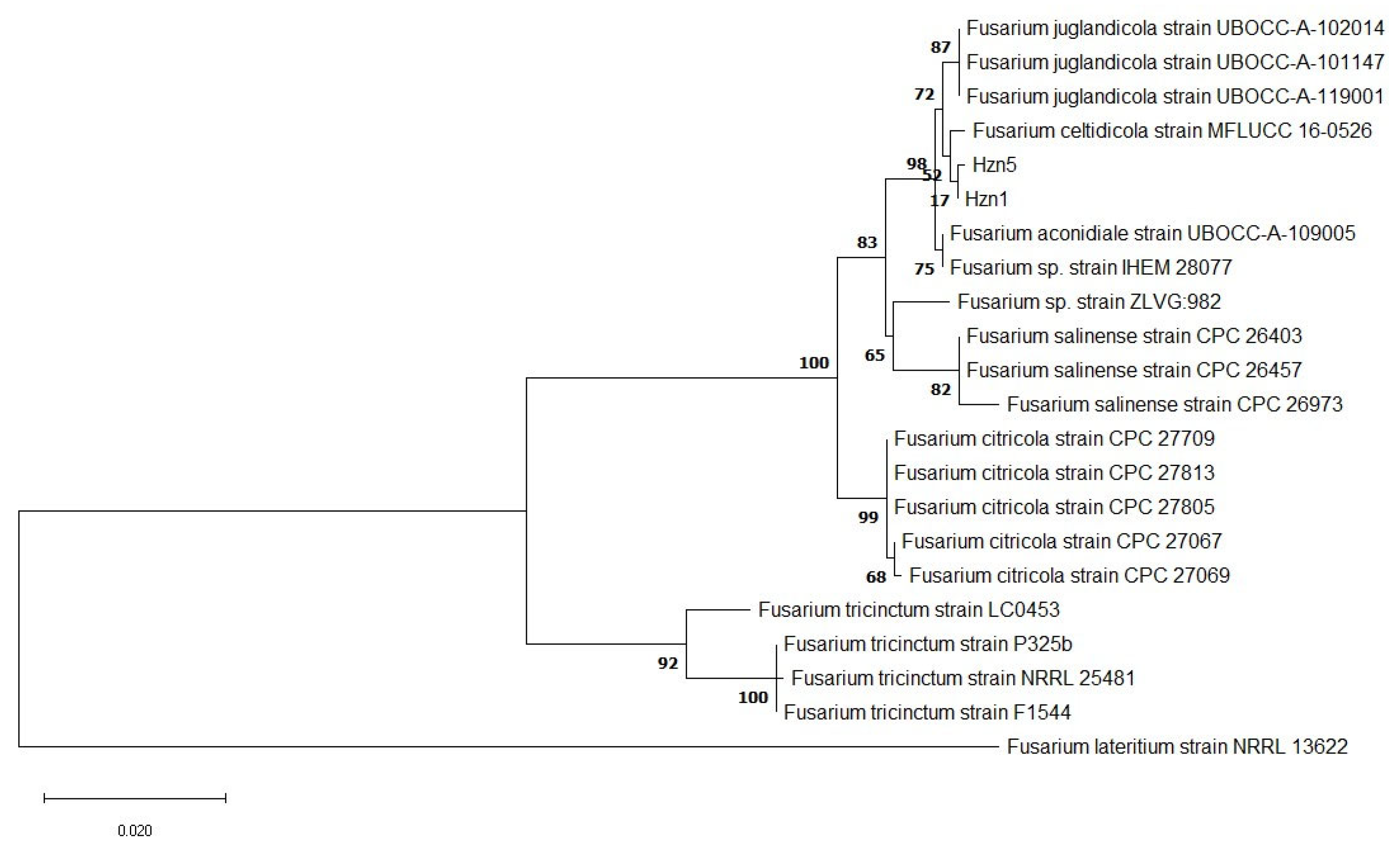 Agriculture 14 01080 g002