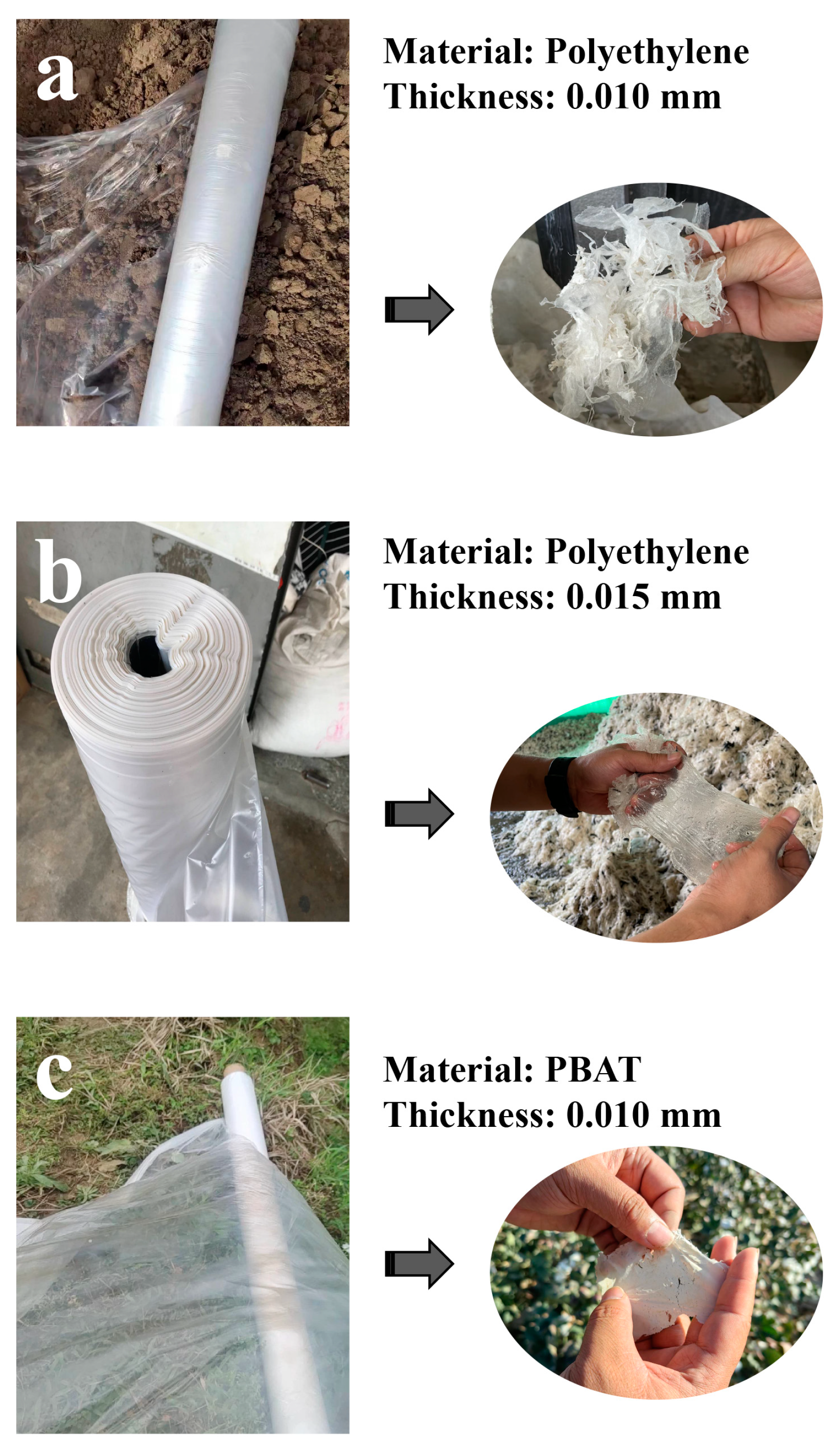 Agriculture 14 01081 g001