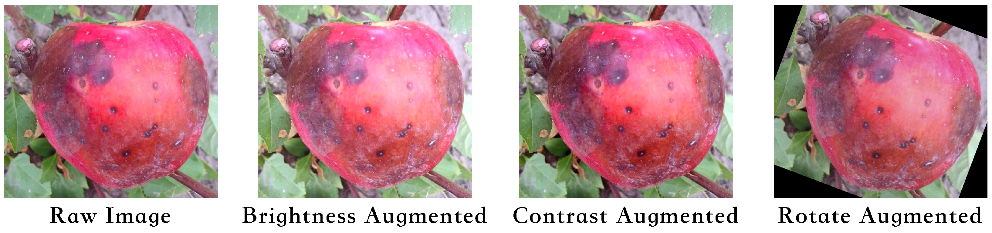 Agriculture 14 01098 g001