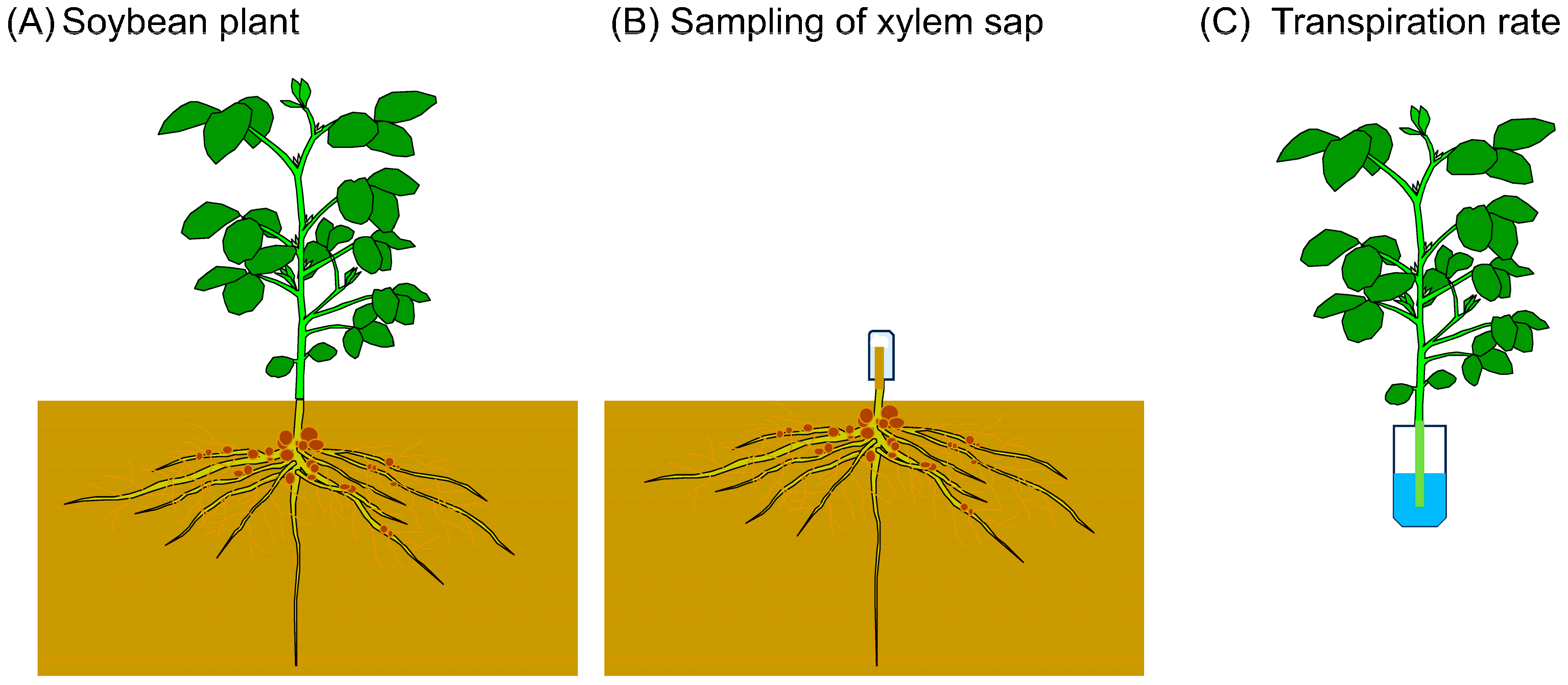 Agriculture 14 01104 g001