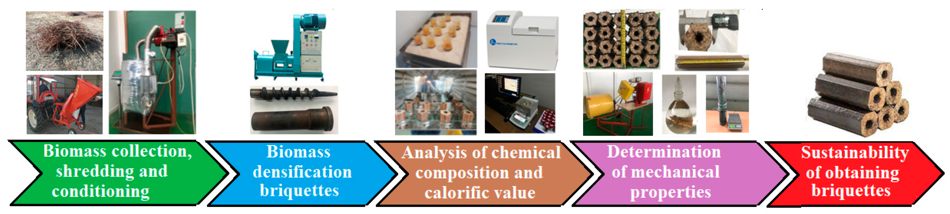 Agriculture 14 01109 g002