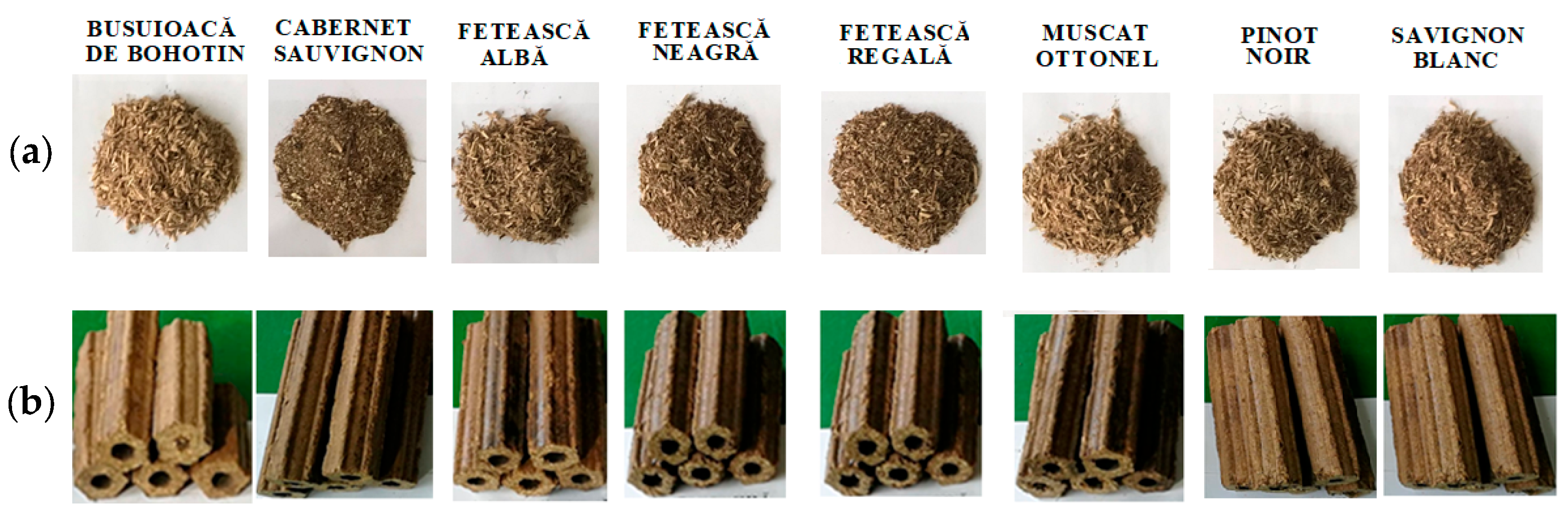 Agriculture 14 01109 g004