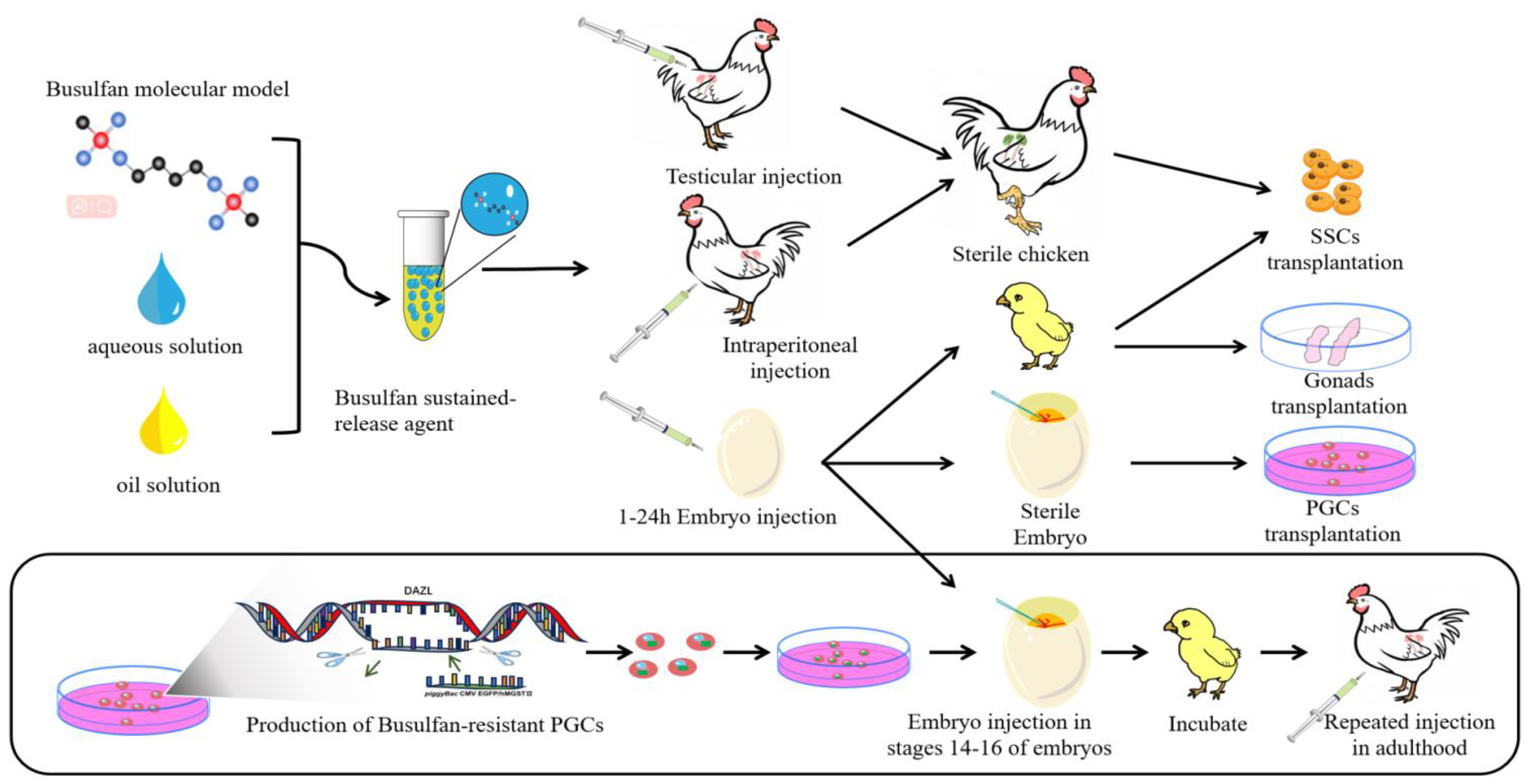 Agriculture 14 01111 g001